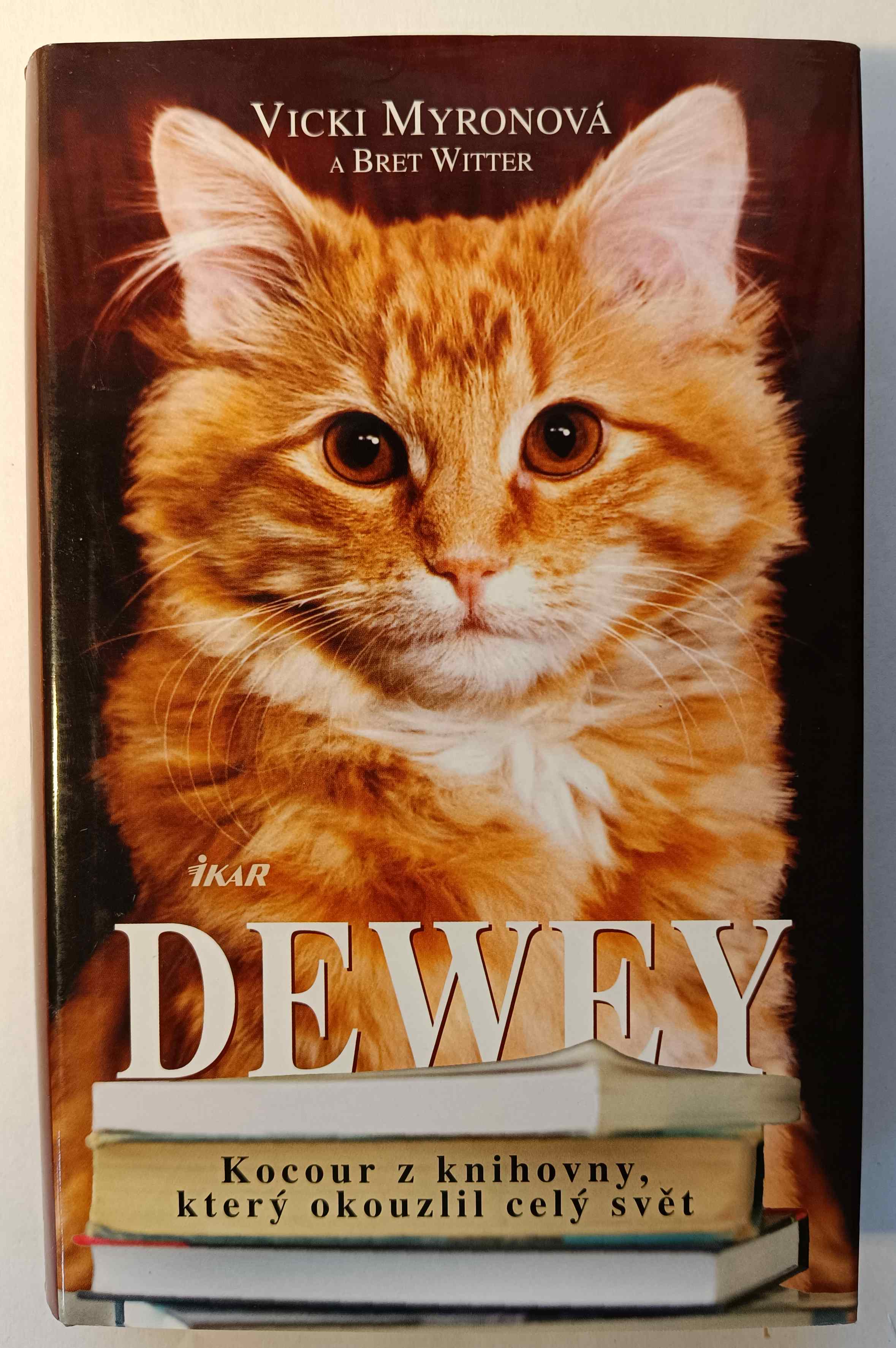 Dewey: Kocour z knihovny, který okouzlil celý svět
