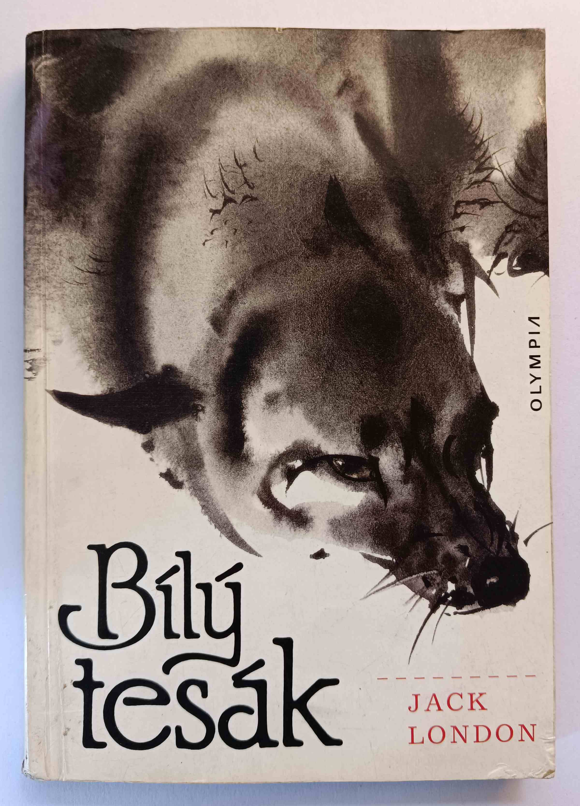 Bílý tesák
