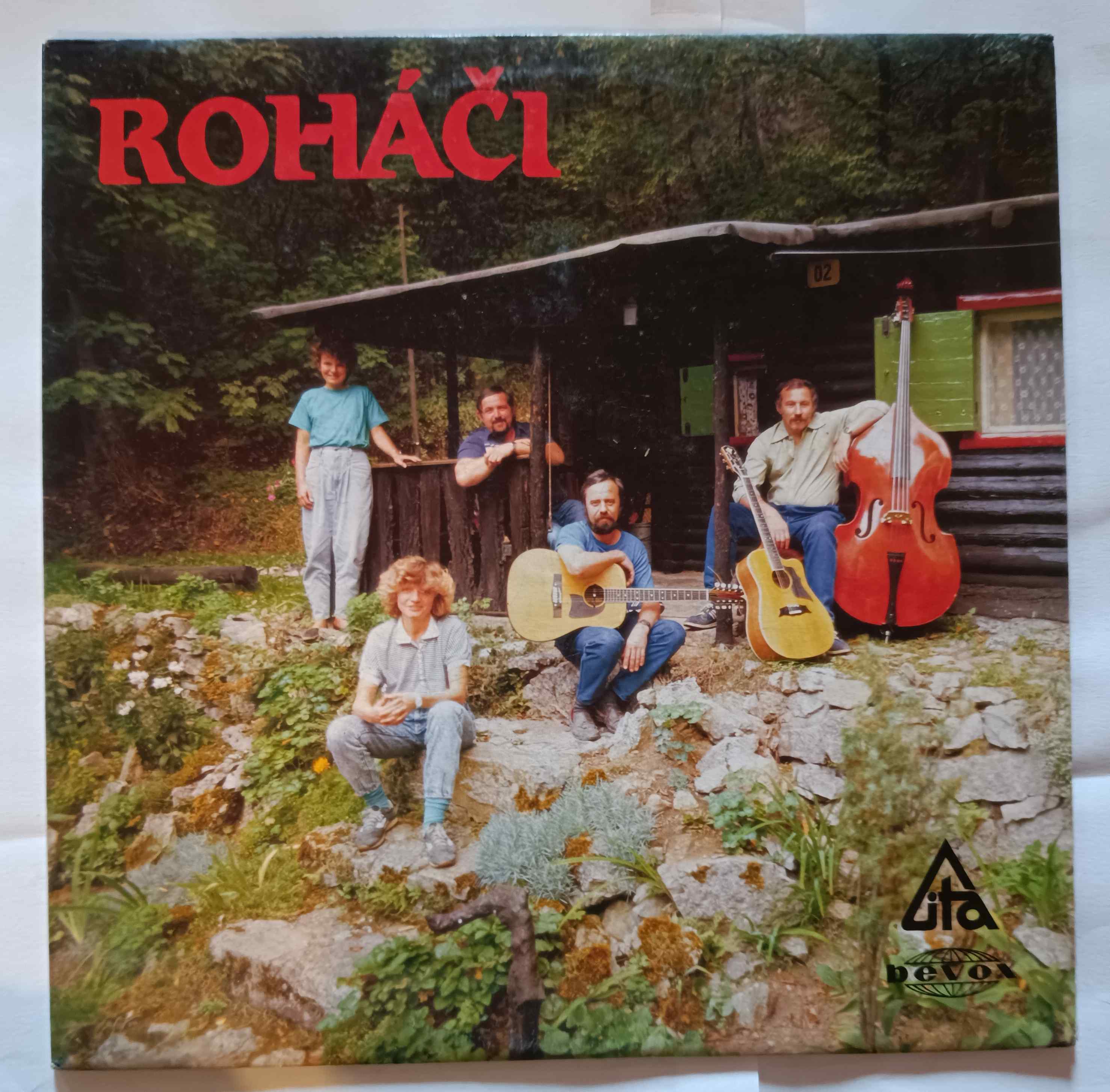 Roháči