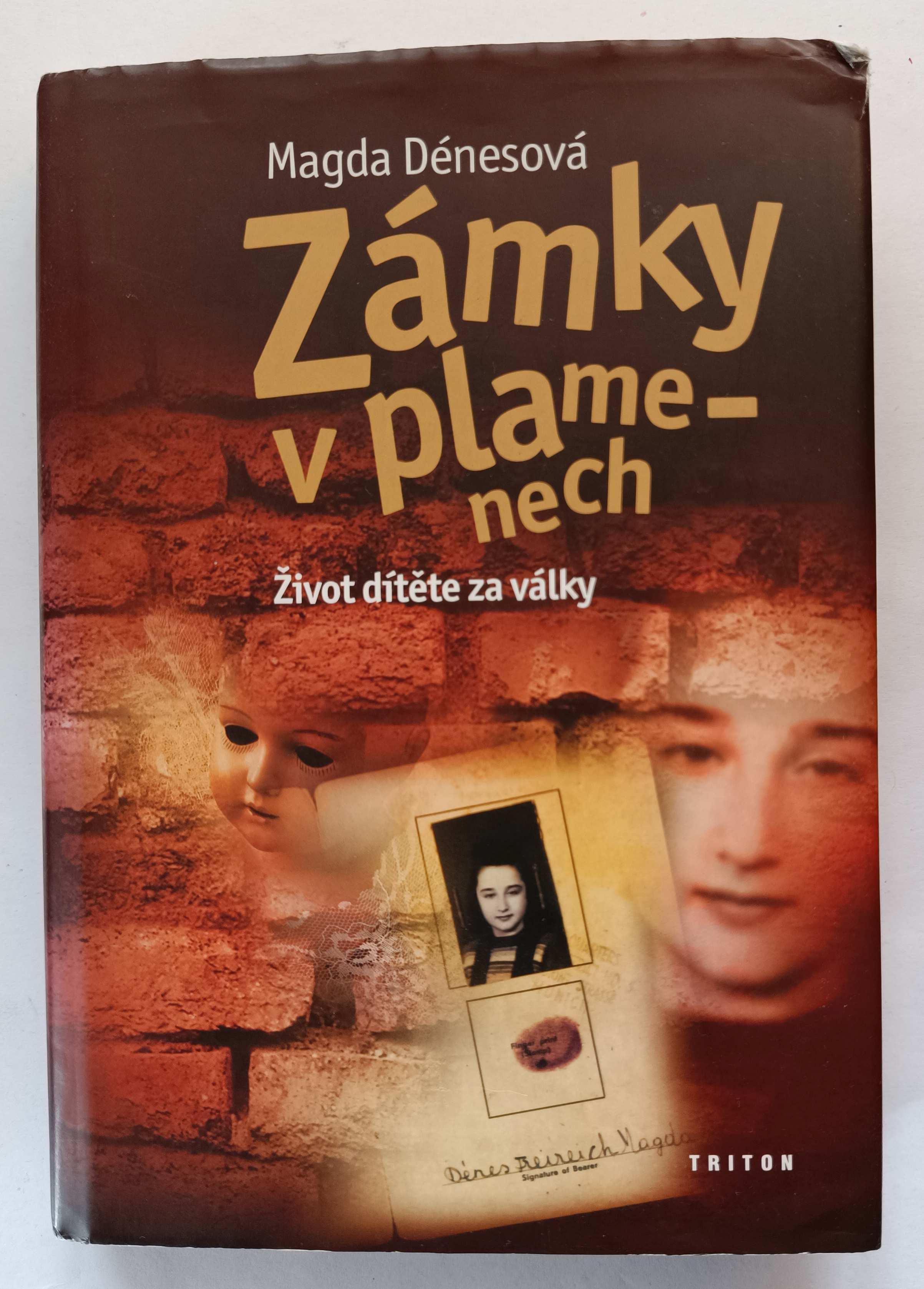 Zámky v plamenech: Život dítěte za války