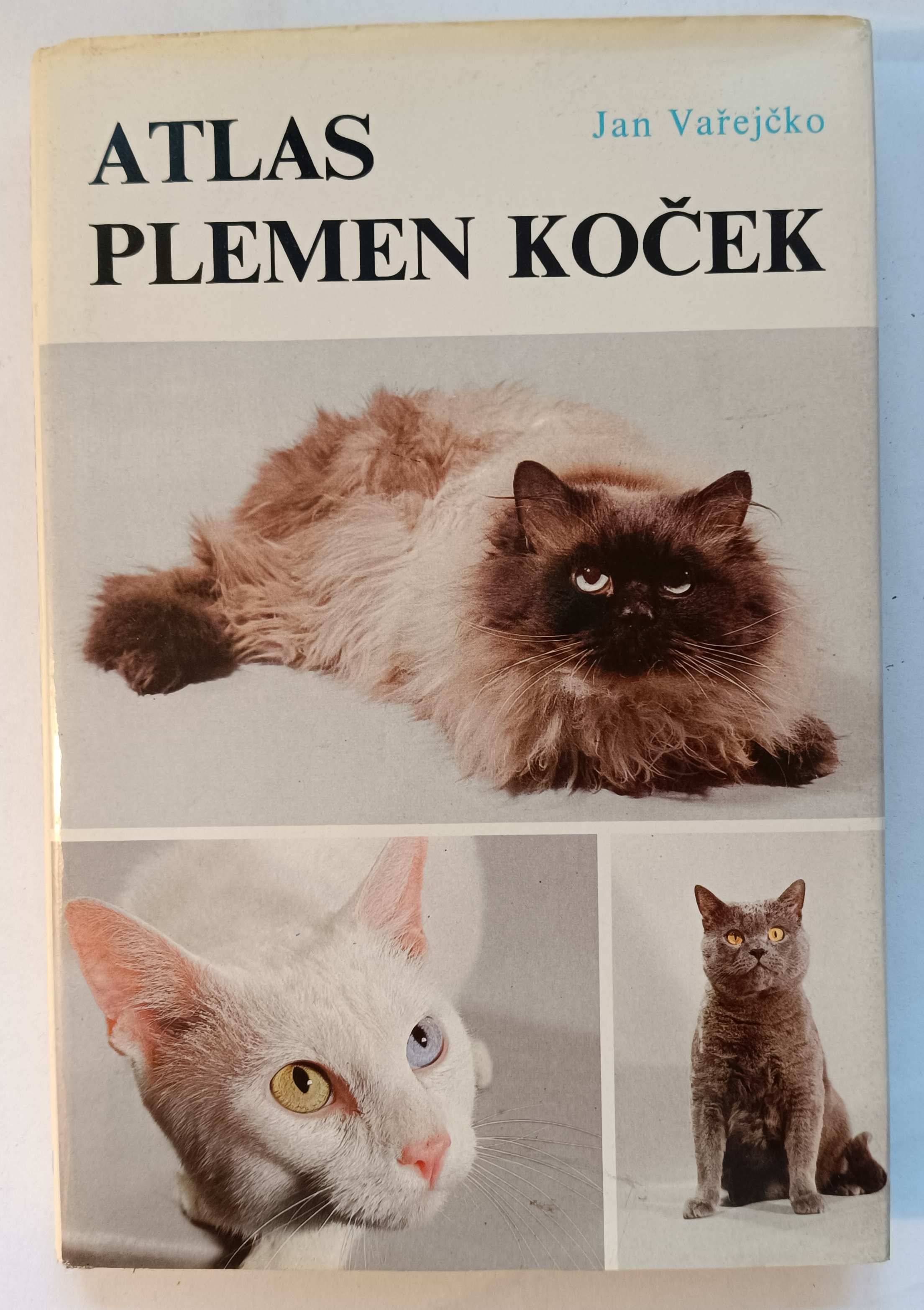 Atlas plemen koček