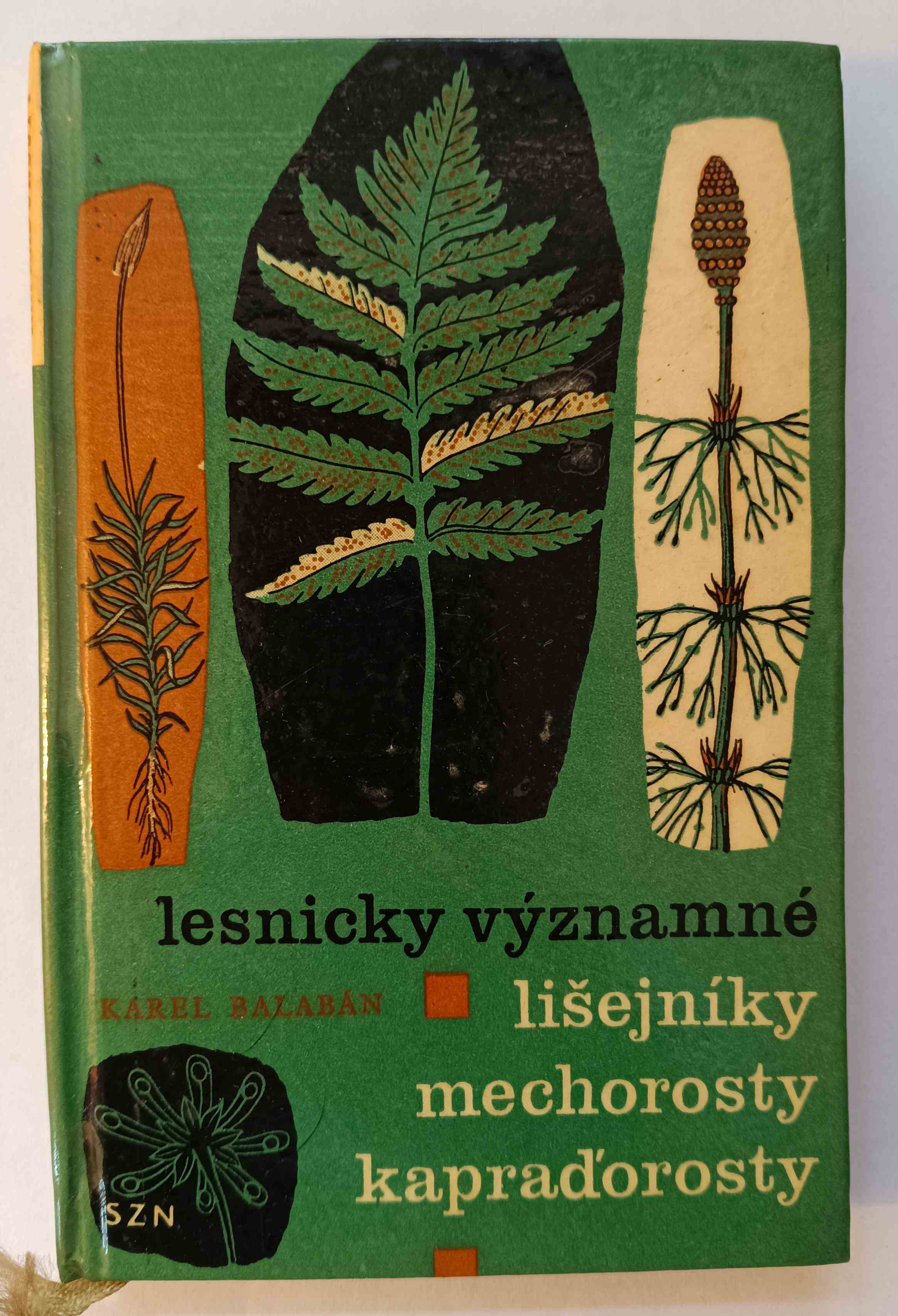 Lesnicky významné lišejníky, mechorosty, kapraďorosty