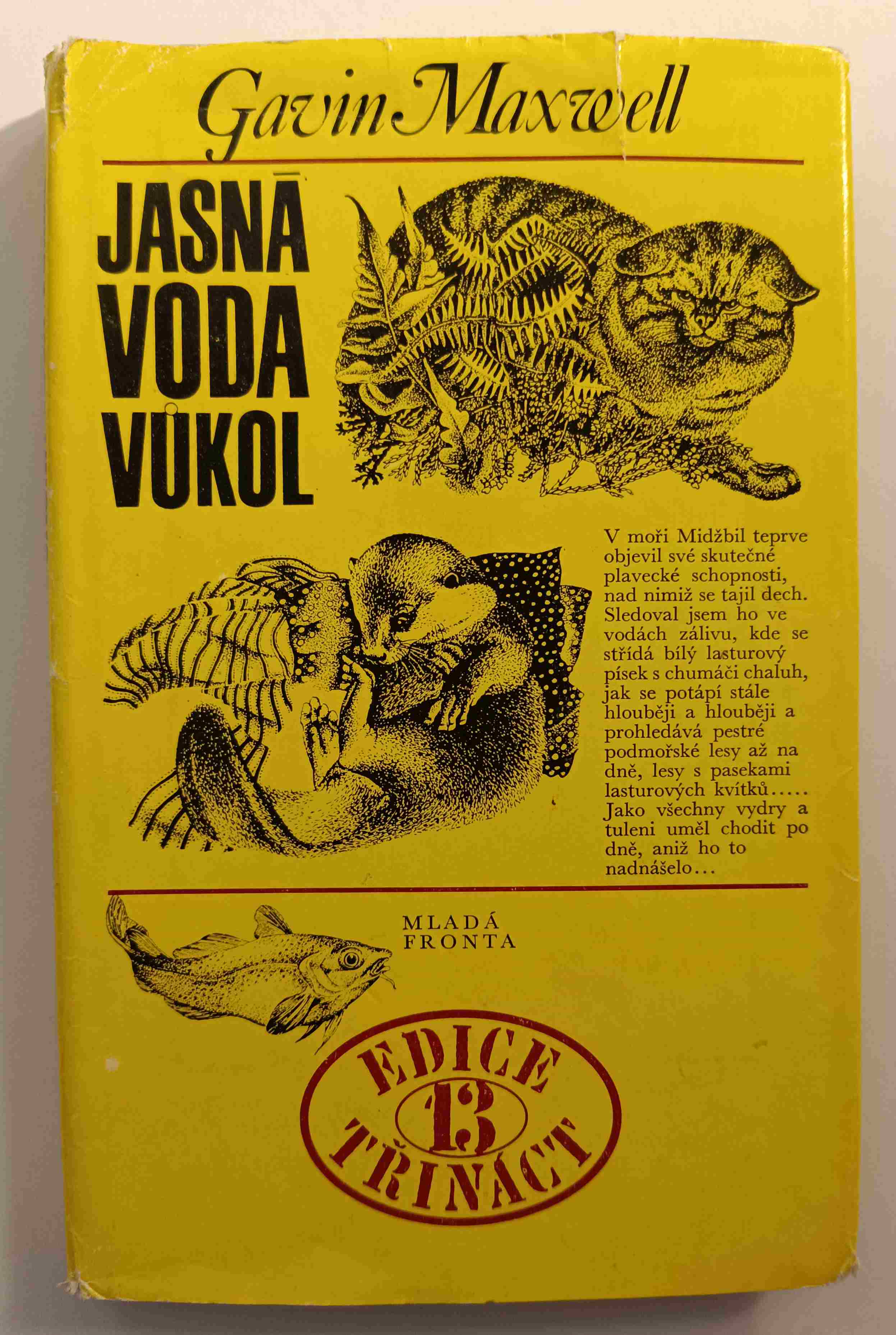 Jasná voda vůkol