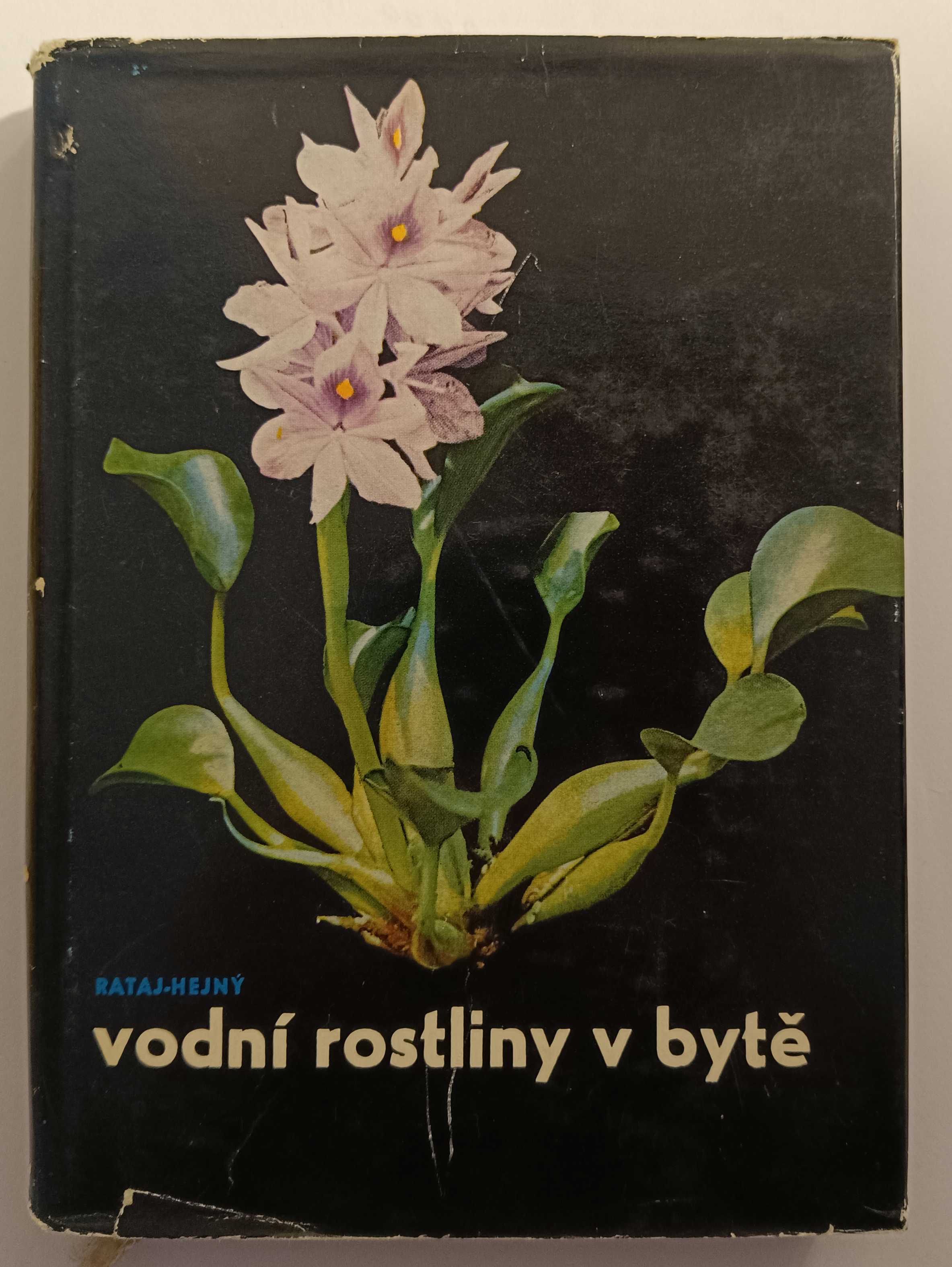 Vodní rostliny v bytě