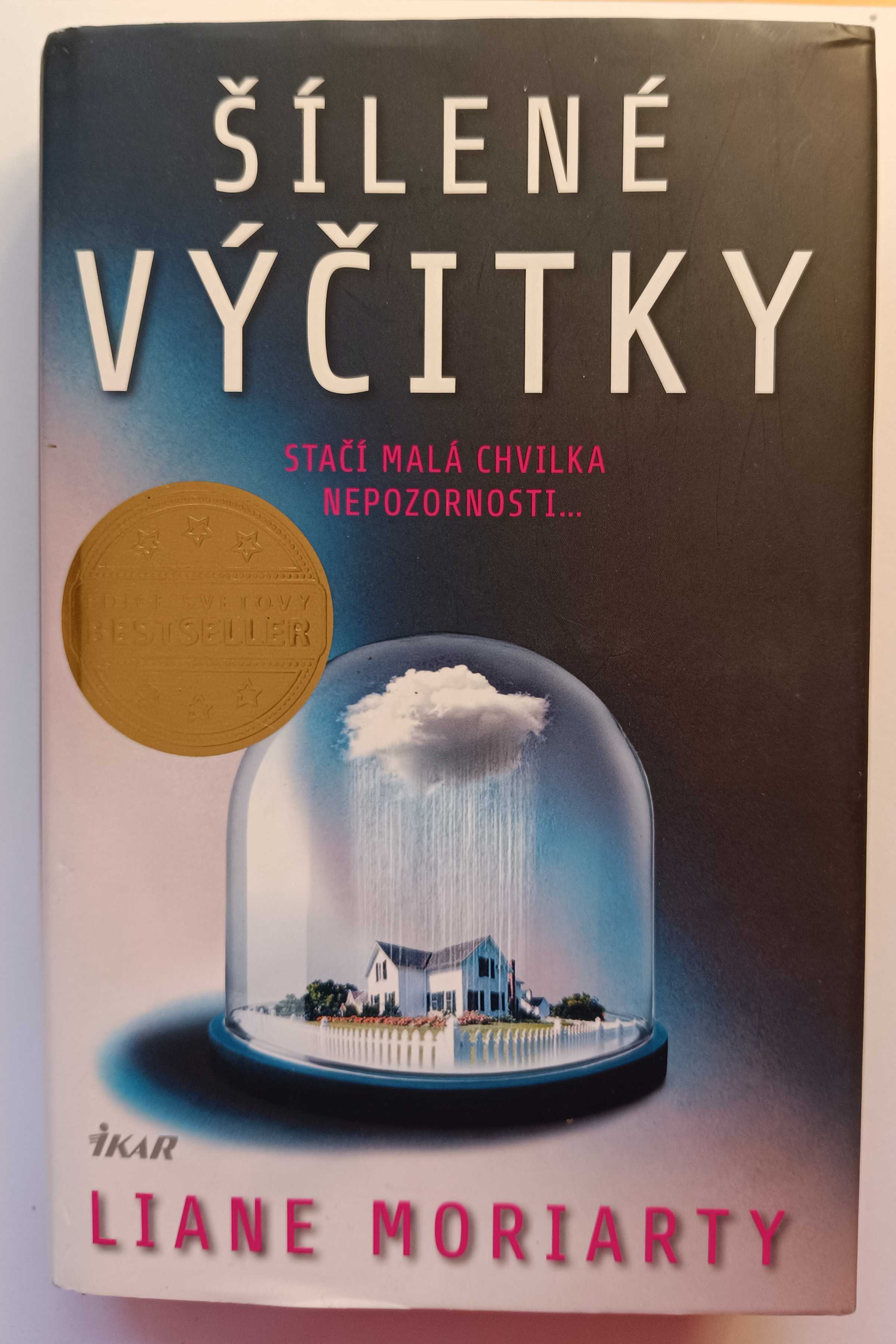 Šílené výčitky