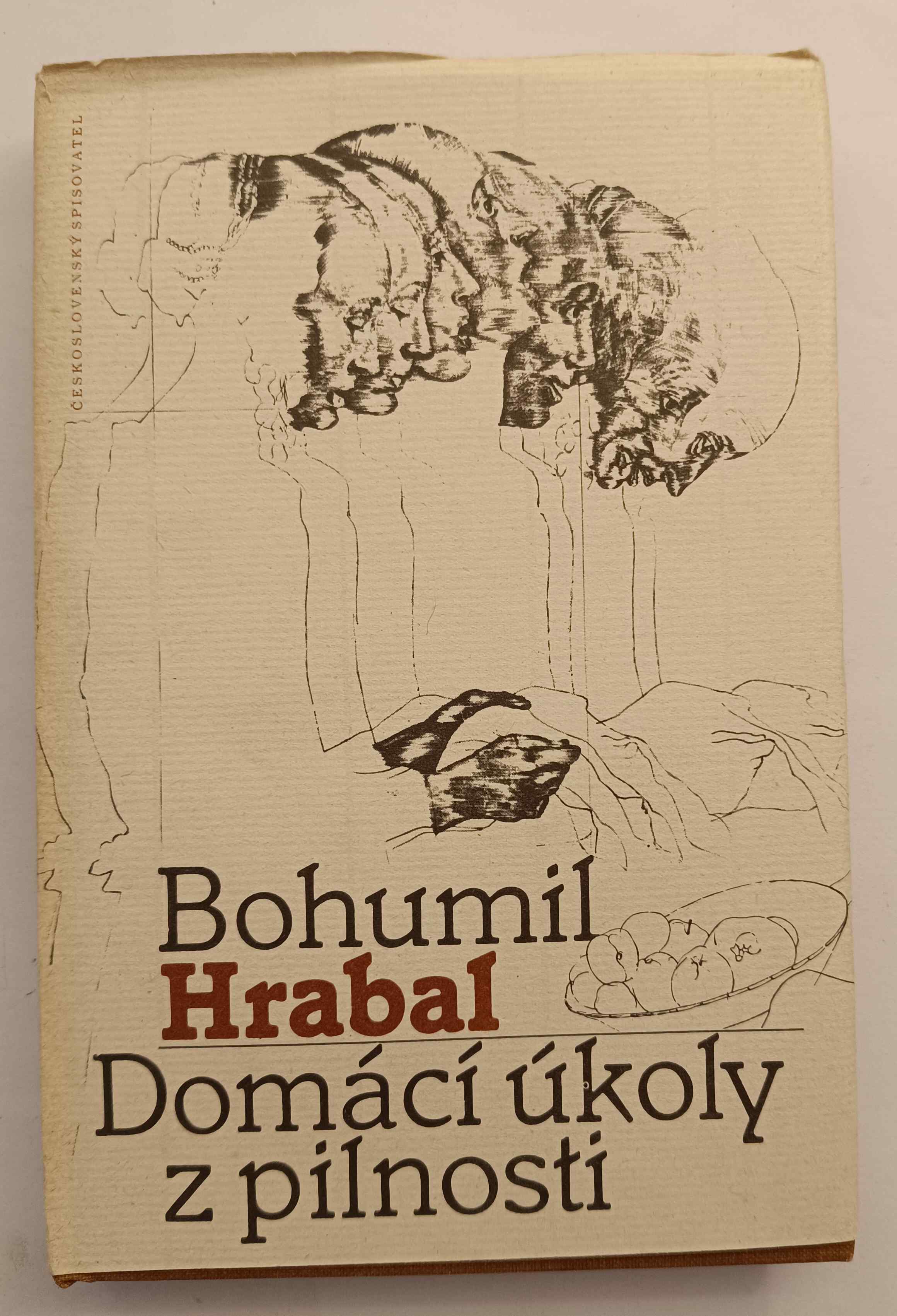 Domácí úkoly z pilnosti