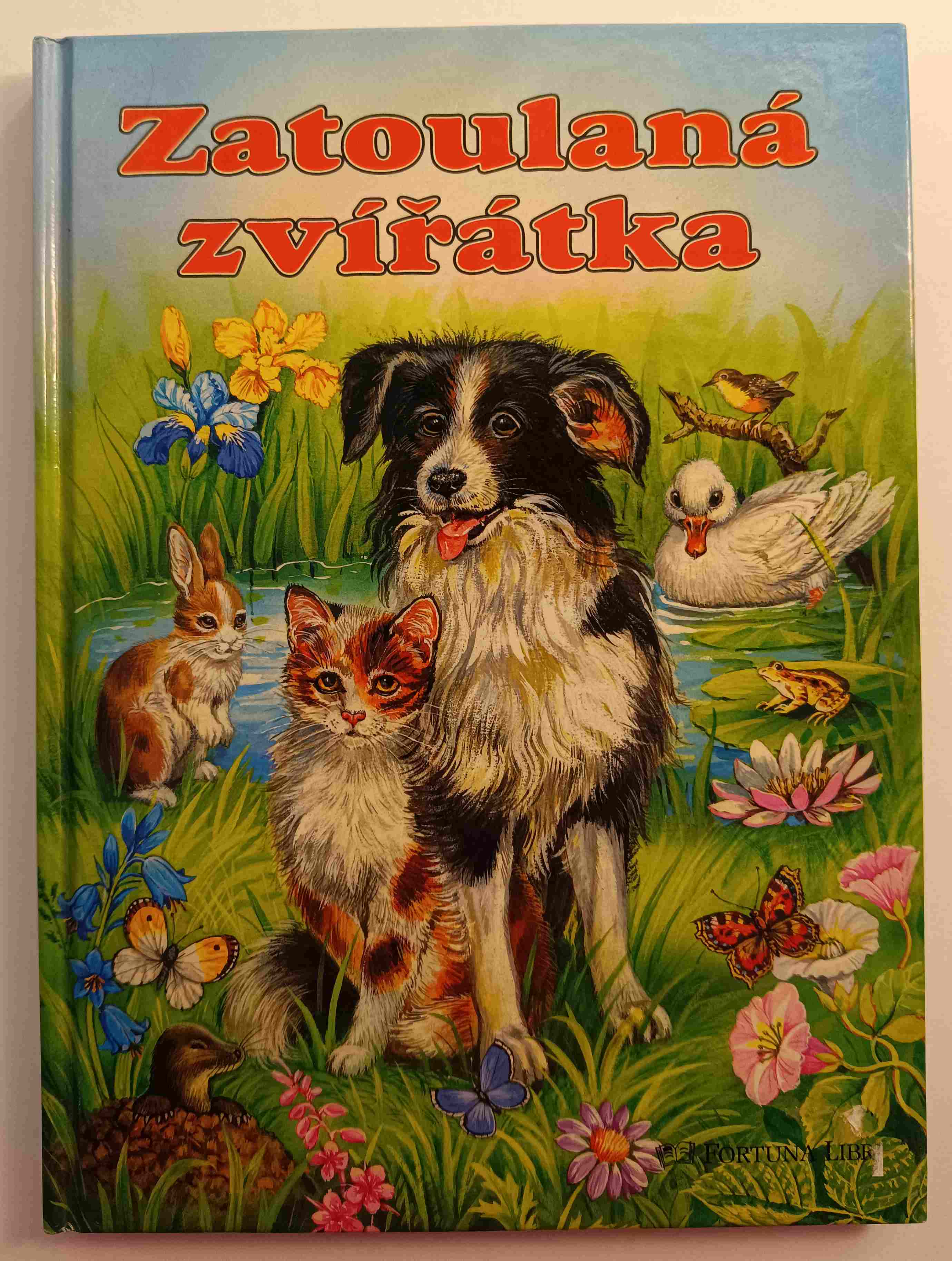 Zatoulaná zvířátka