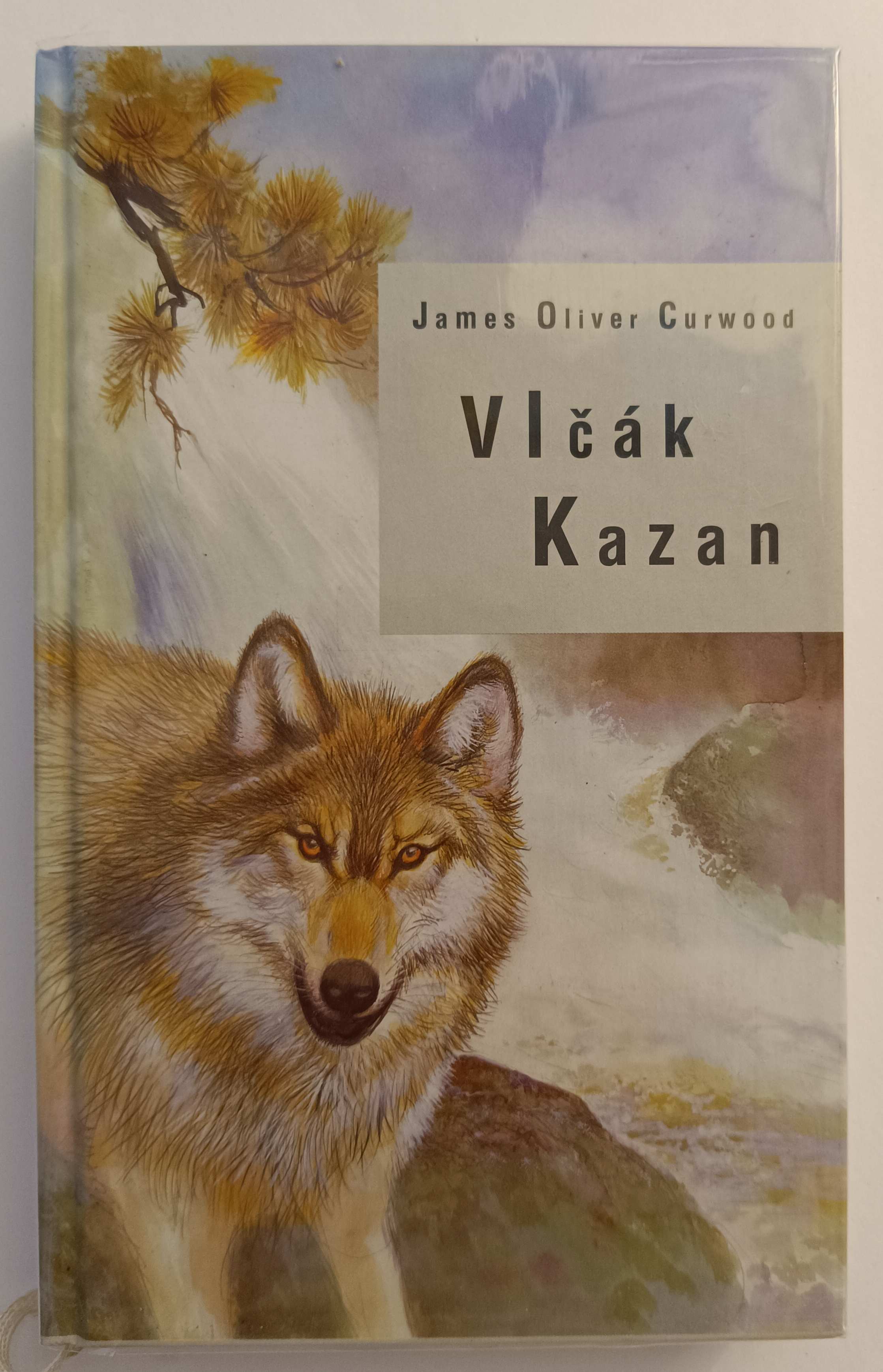 Vlčák Kazan