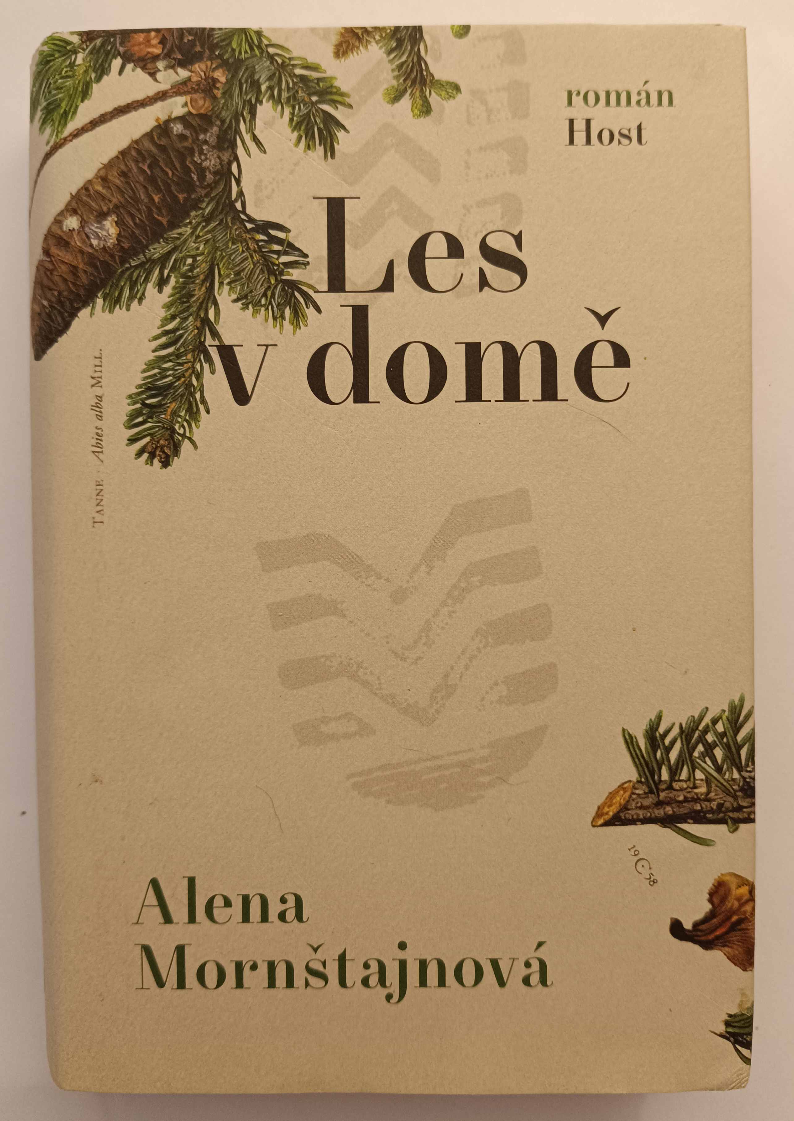 Les v domě