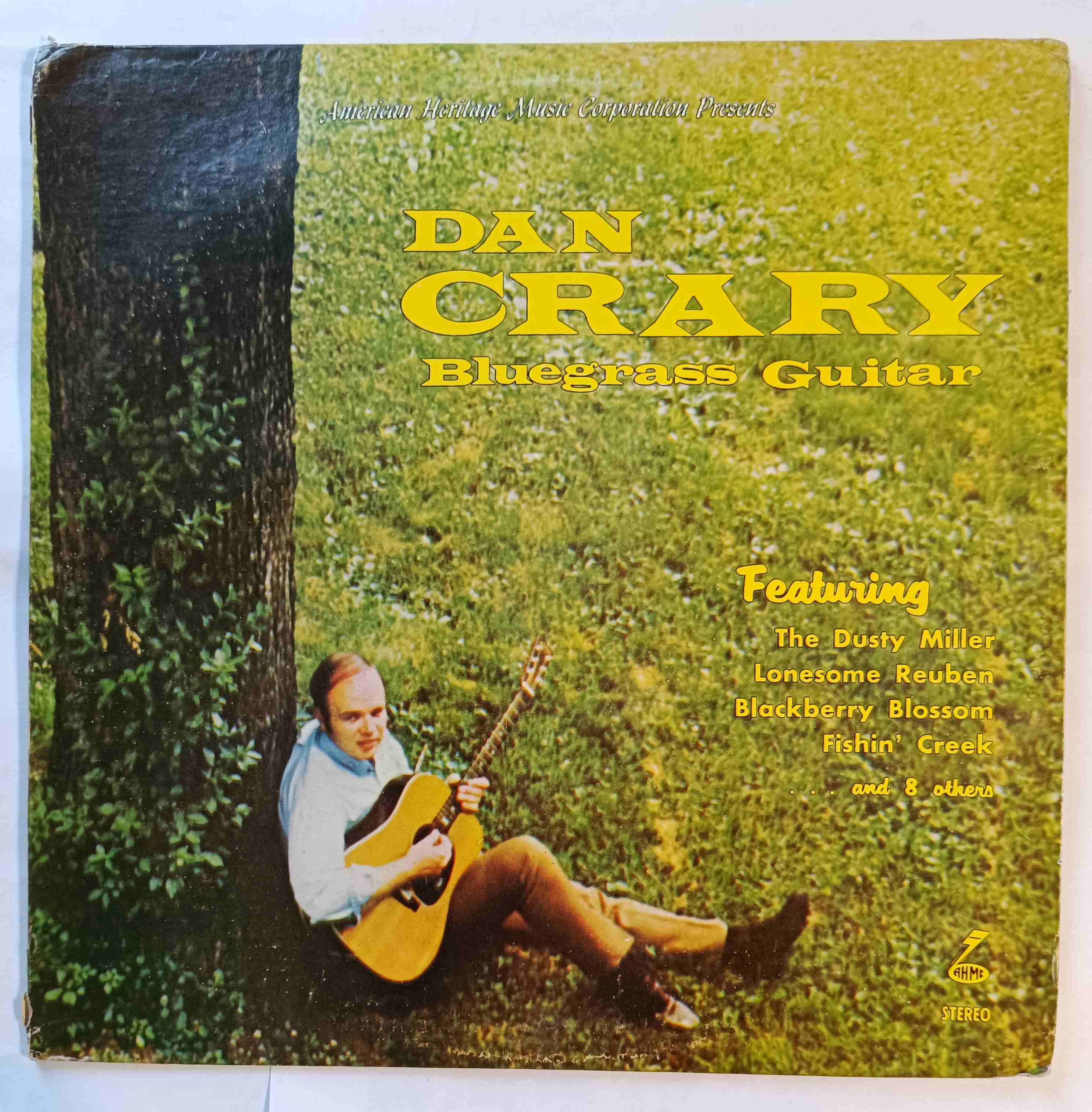 Bluegrass Guitar