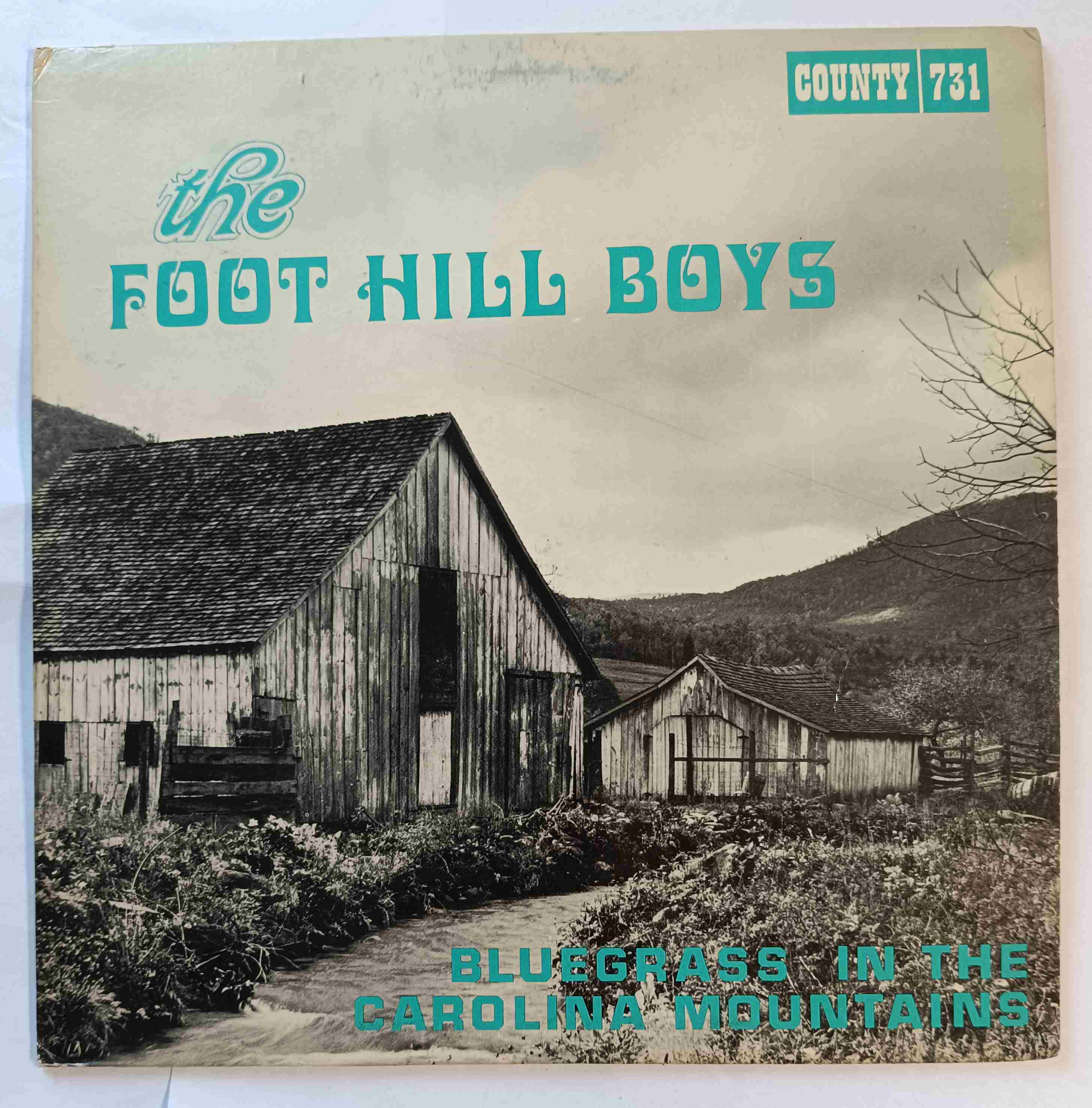 Bluegrass In The Carolina Mountains