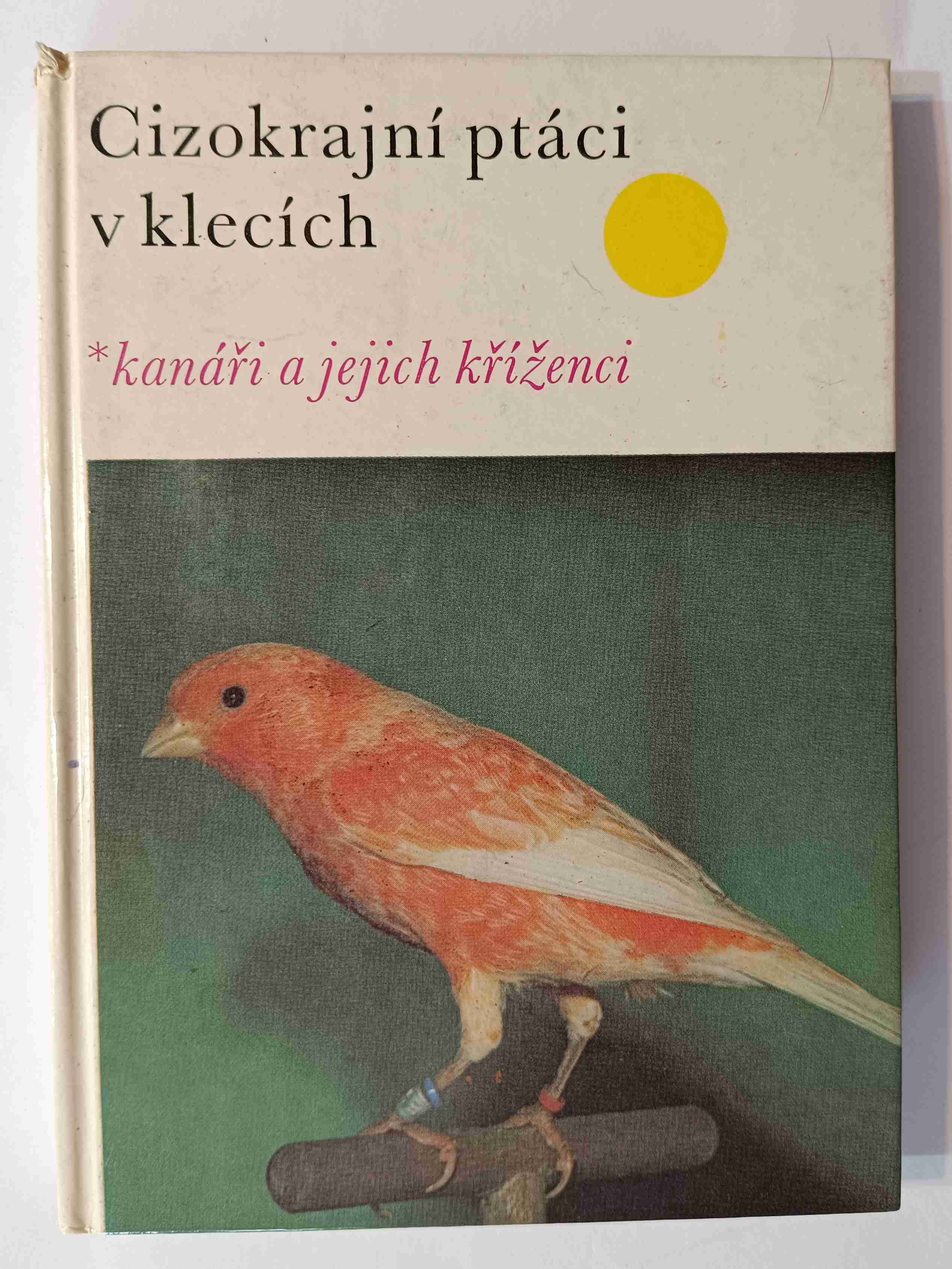 Cizokrajní ptáci v klecích : Kanáři a jejich kříženci