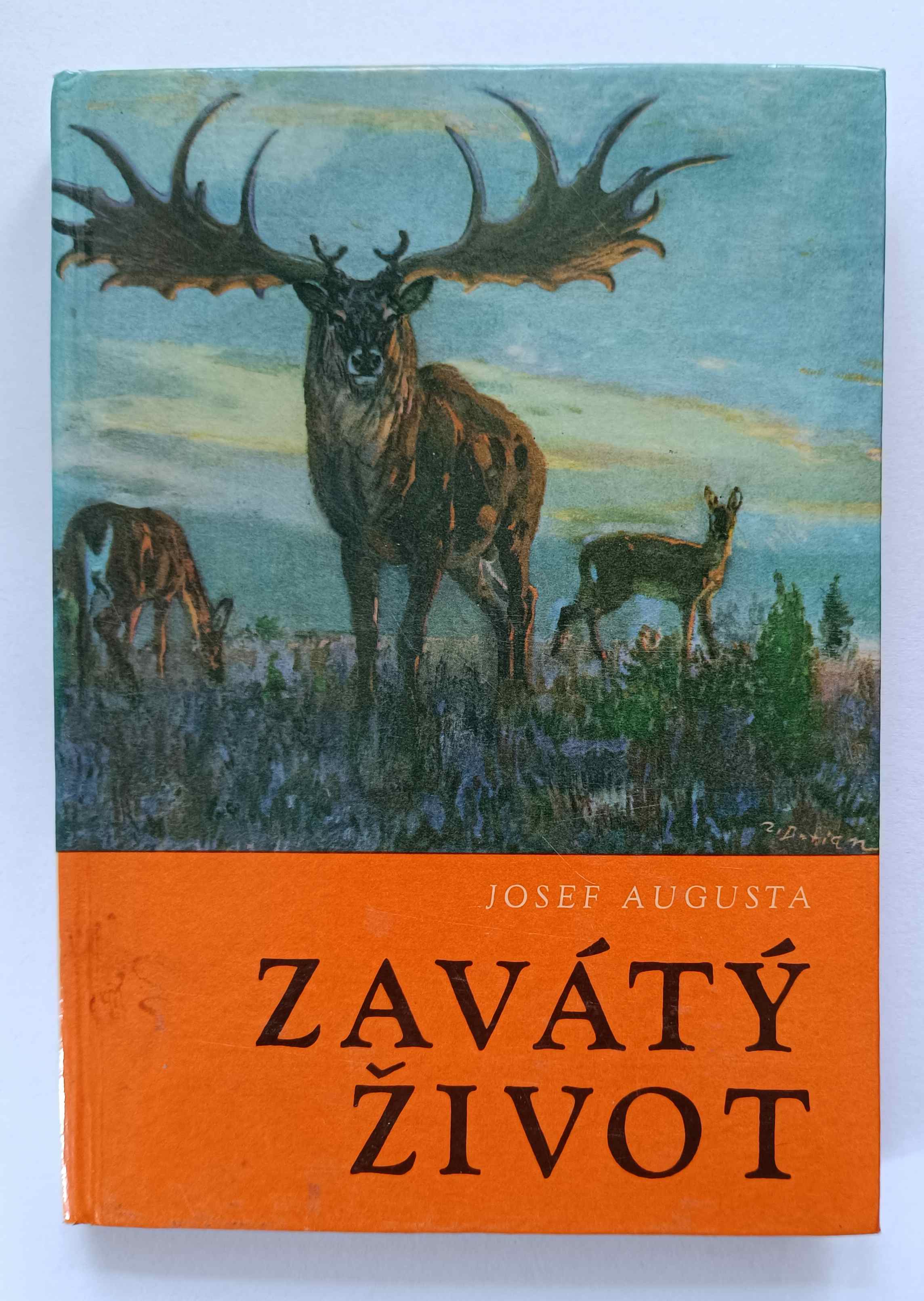 Zavátý život