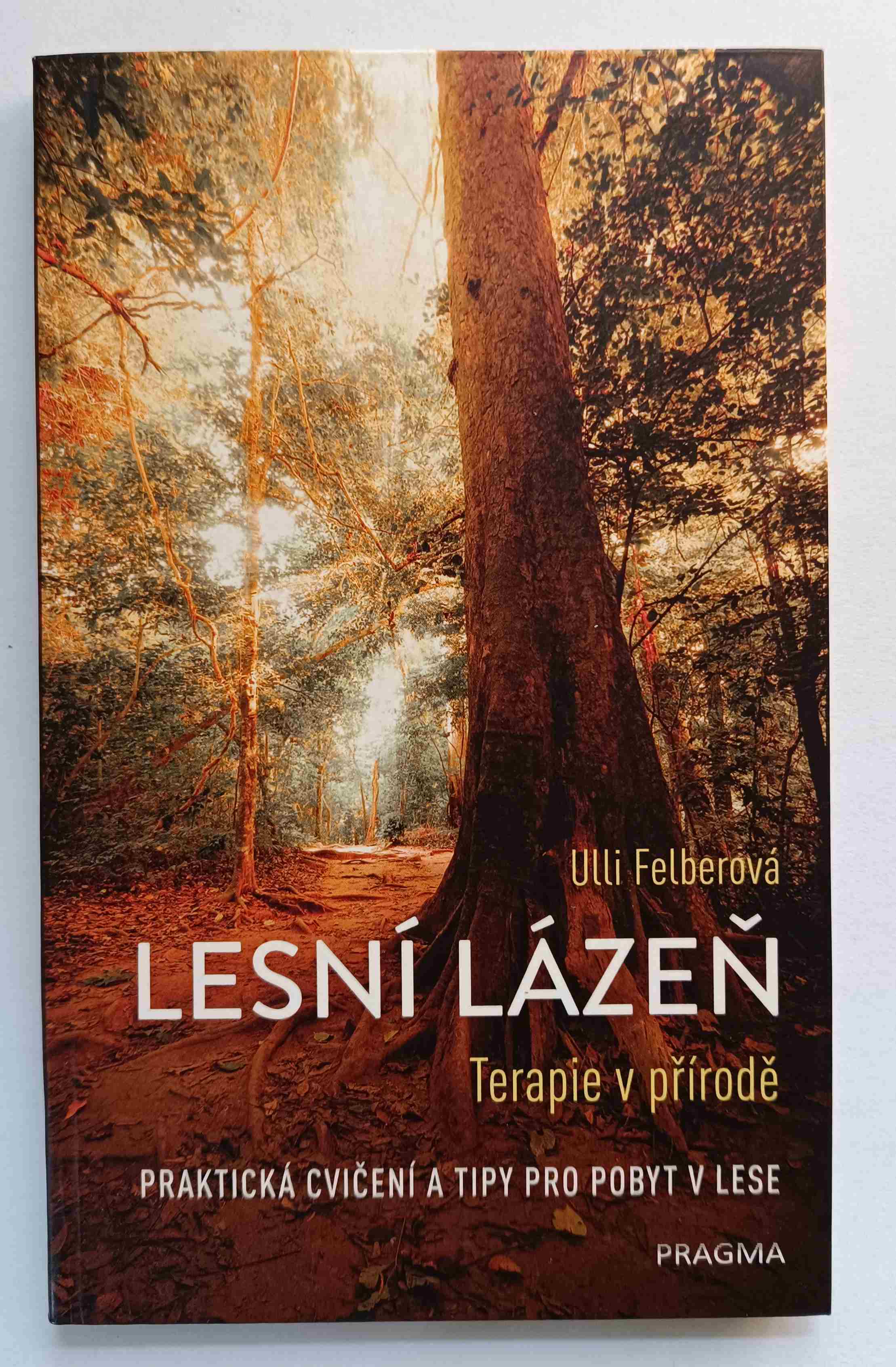 Lesní lázeň - Terapie v přírodě