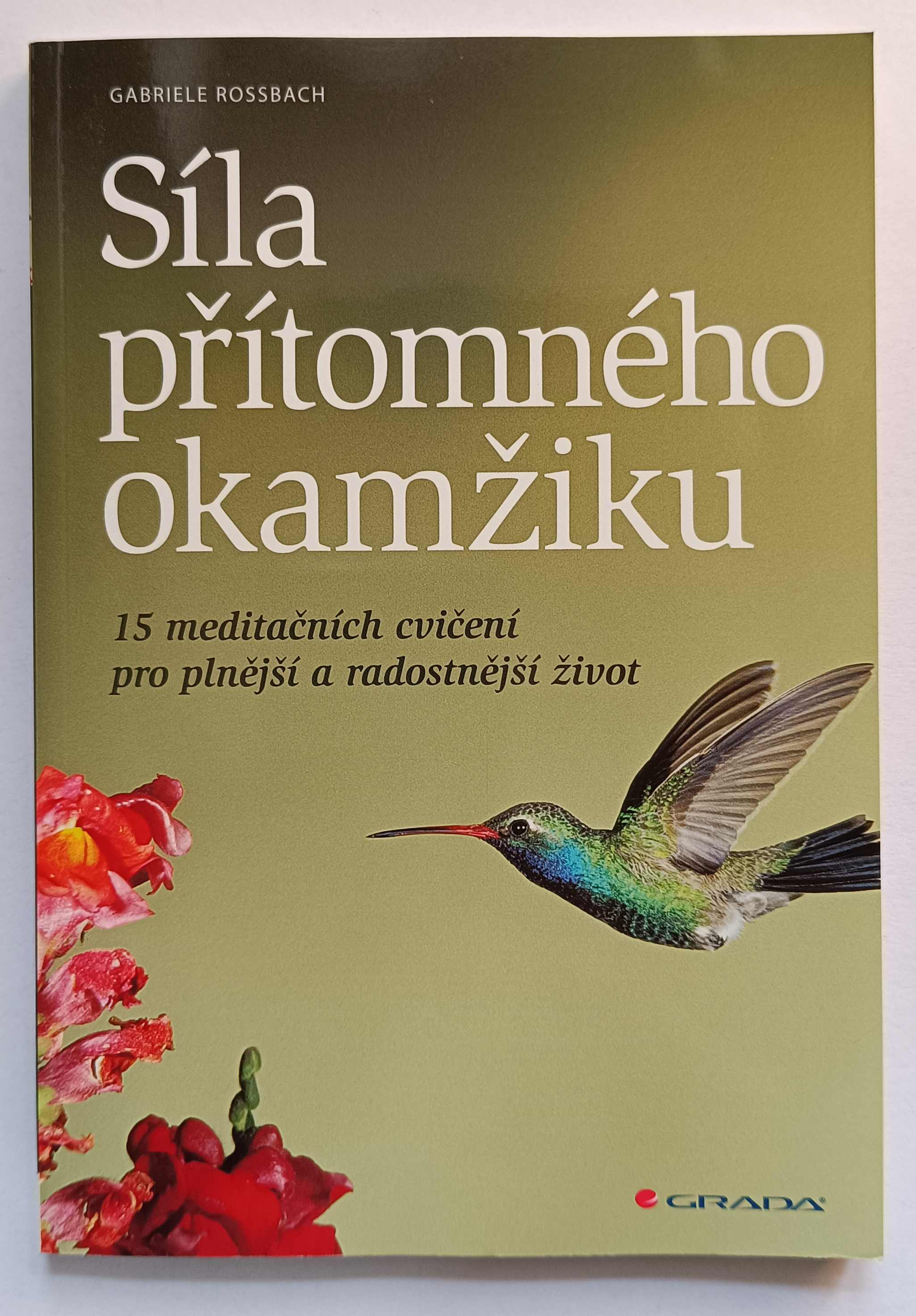 Síla přítomného okamžiku