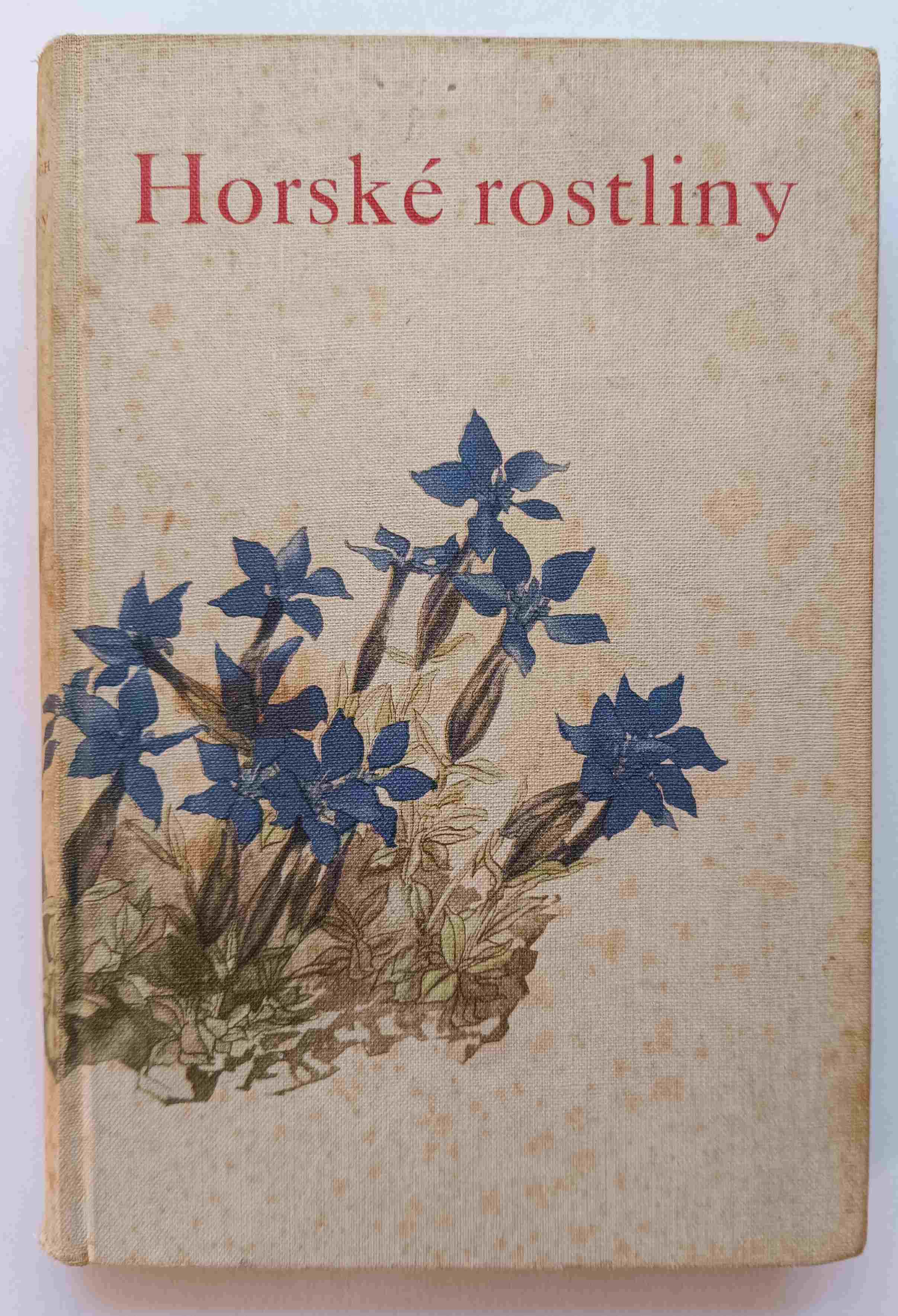 Horské rostliny