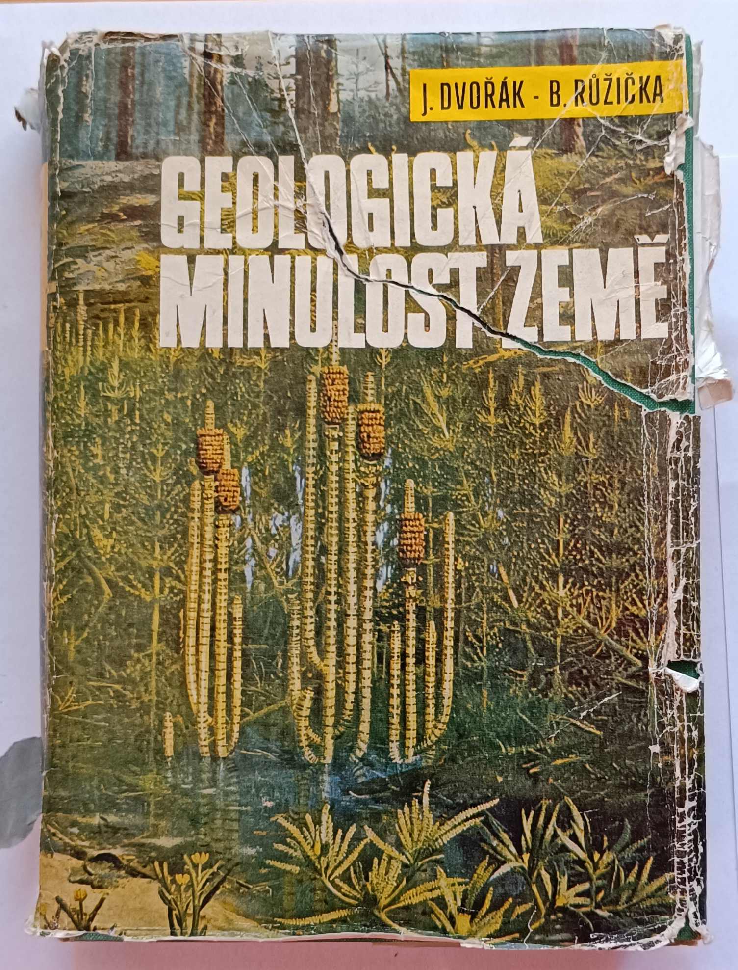 Geologická minulost Země