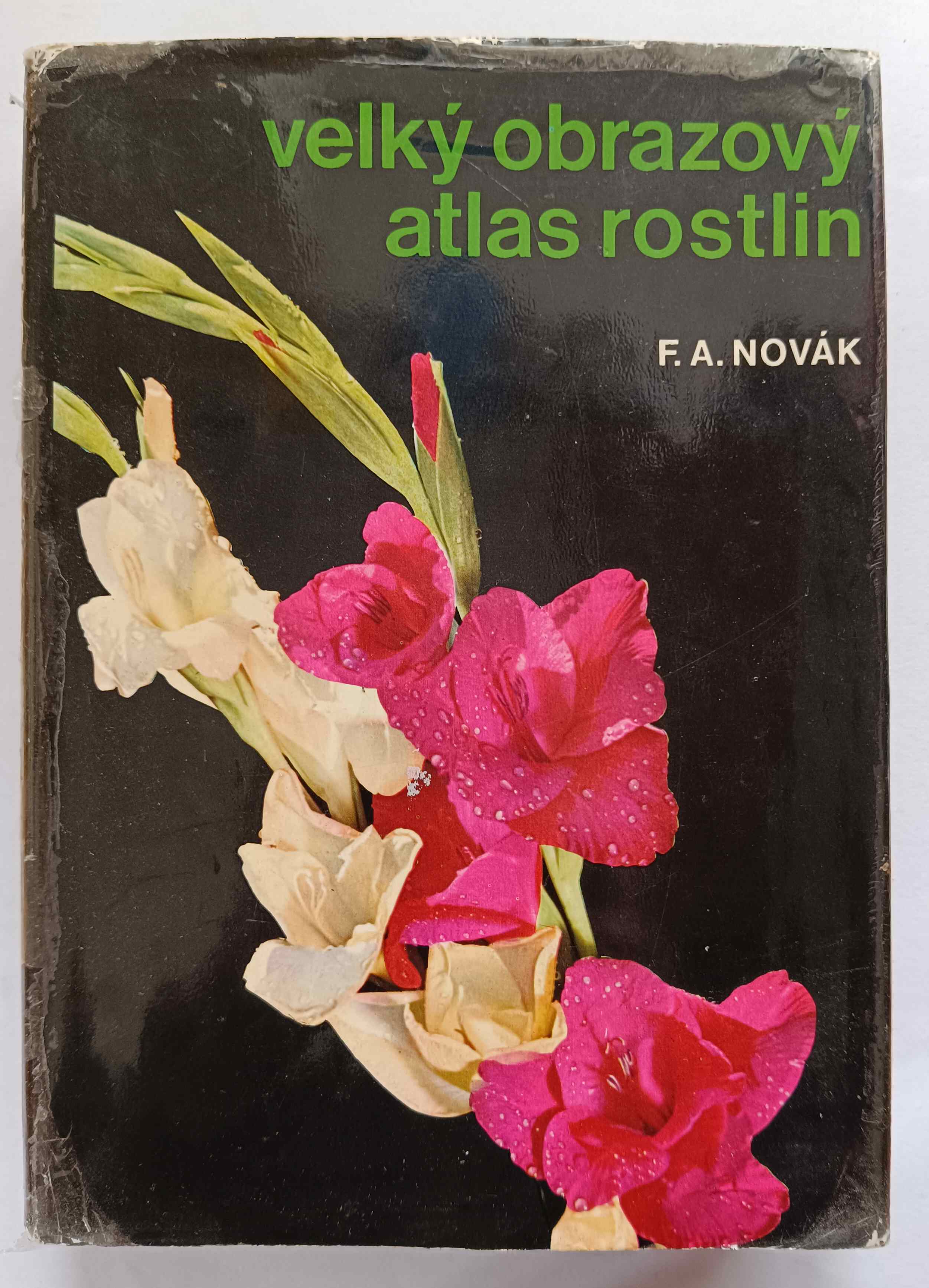 Velký obrazový atlas rostlin