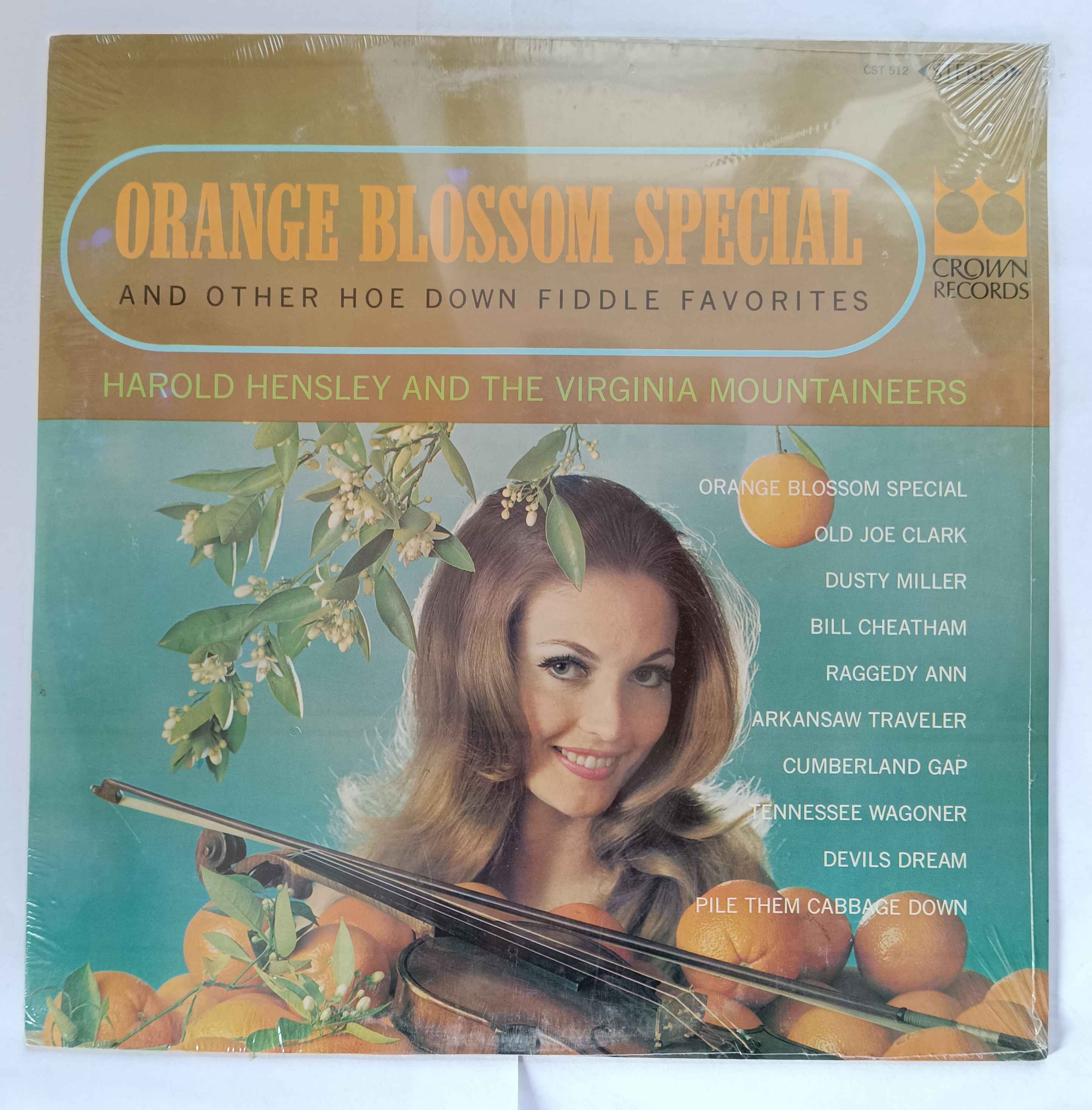 Orange Blossom Special And Other Hoe Down Fiddle Favorites