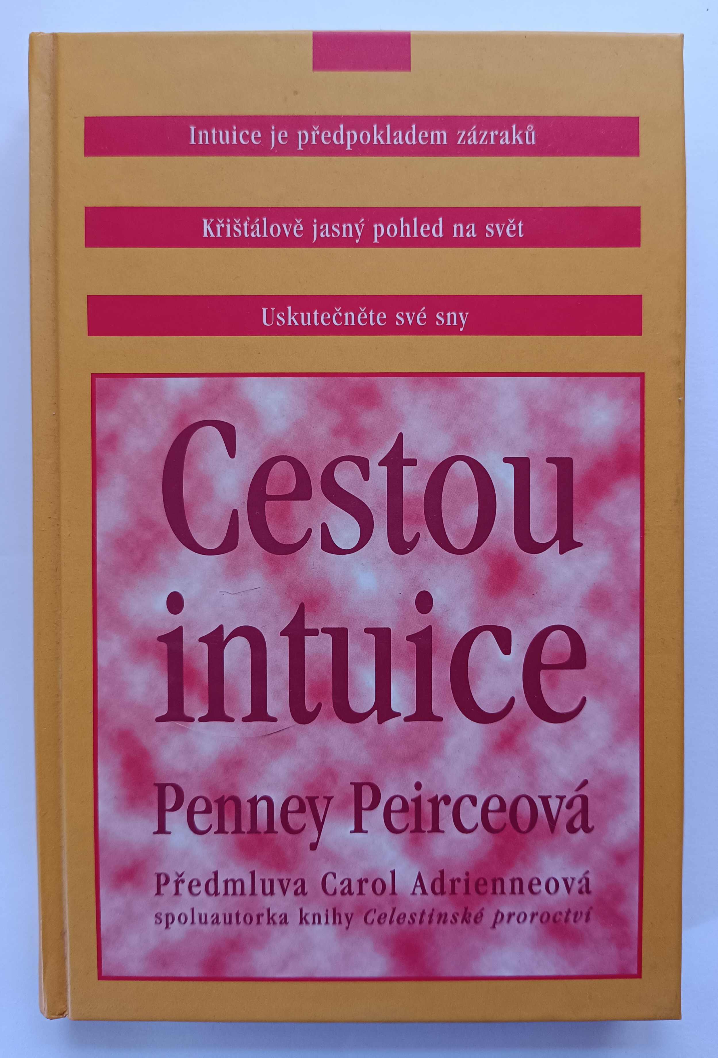 Cestou intuice