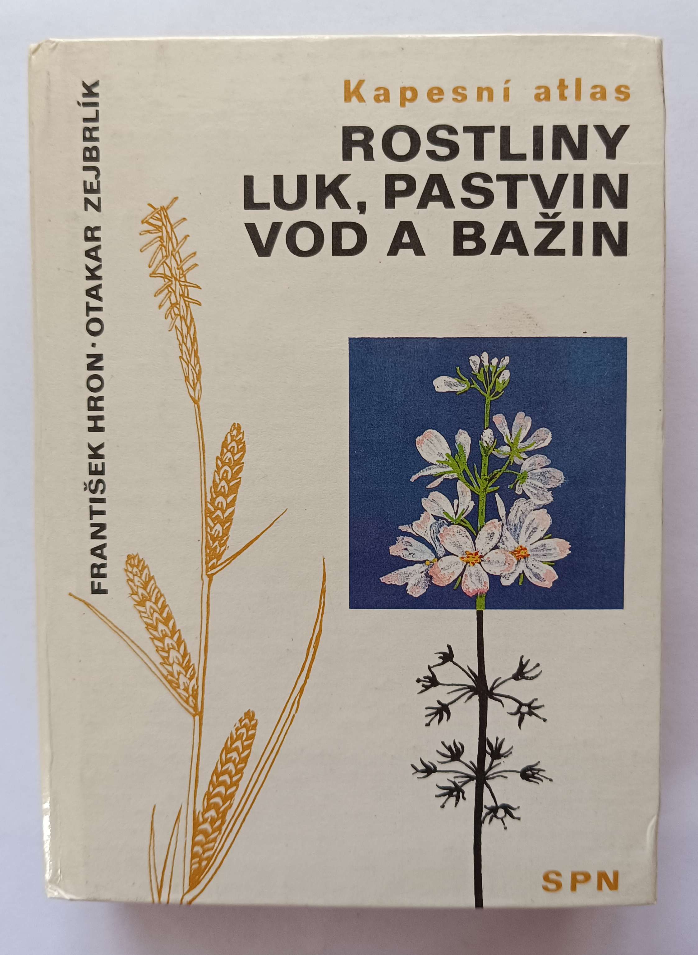 Rostliny luk, pastvin, vod a bažin