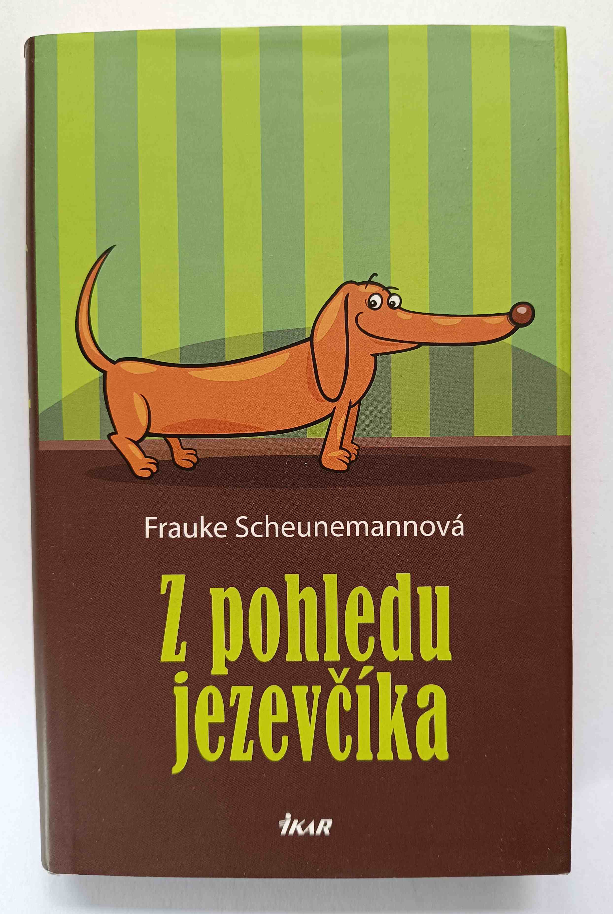 Z pohledu jezevčíka