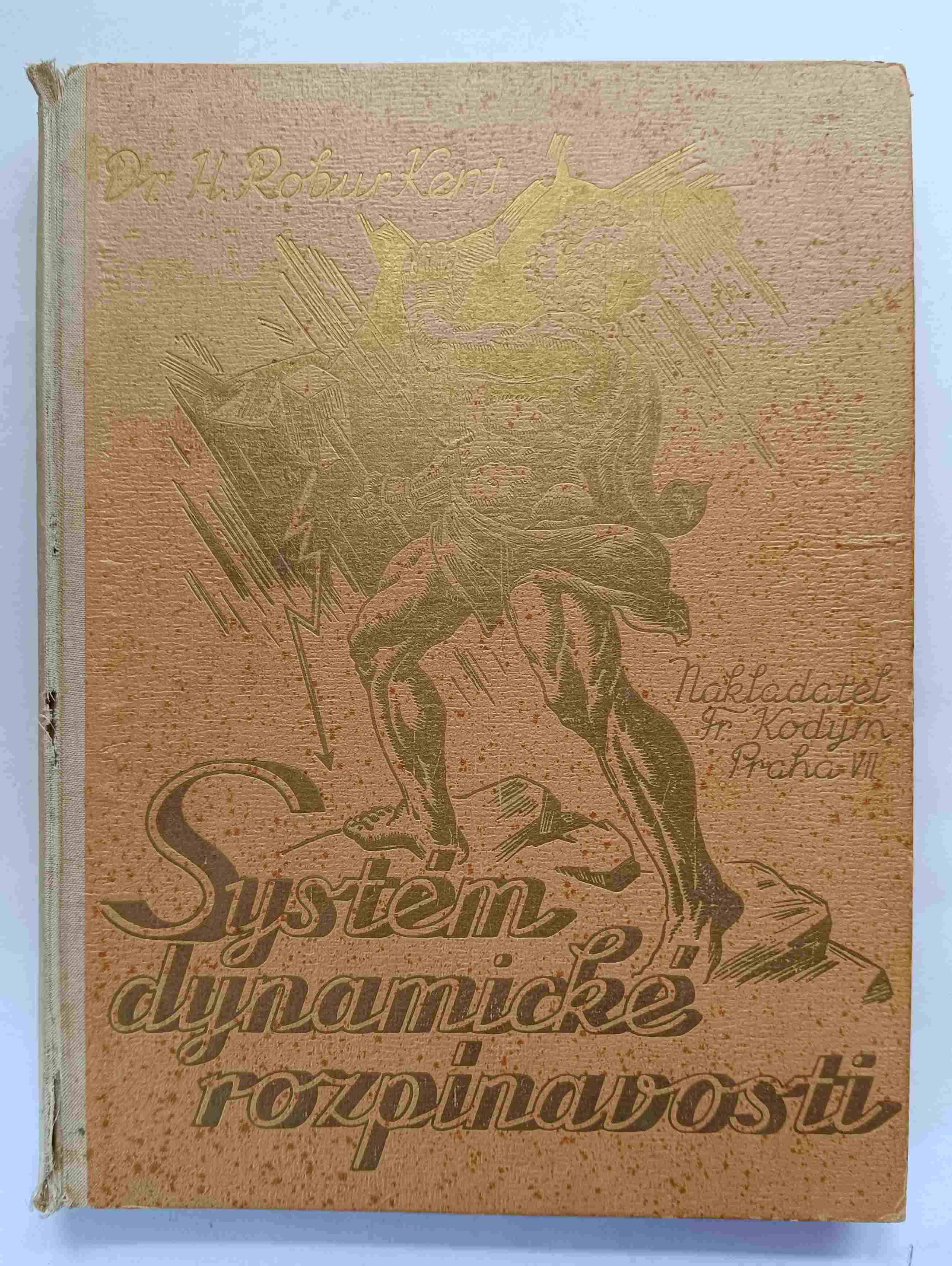 Systém dynamické rozpínavosti