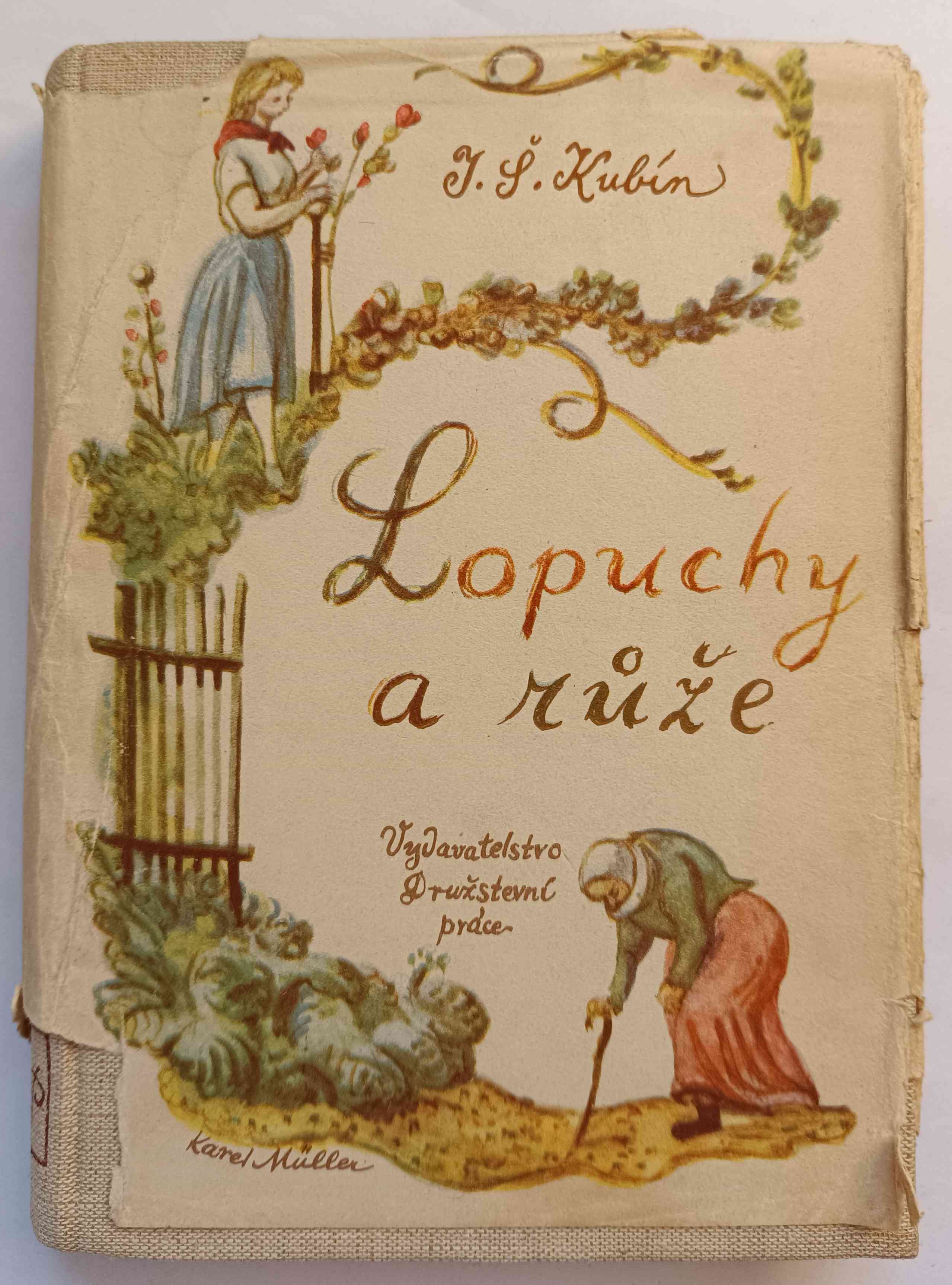 Lopuchy a růže