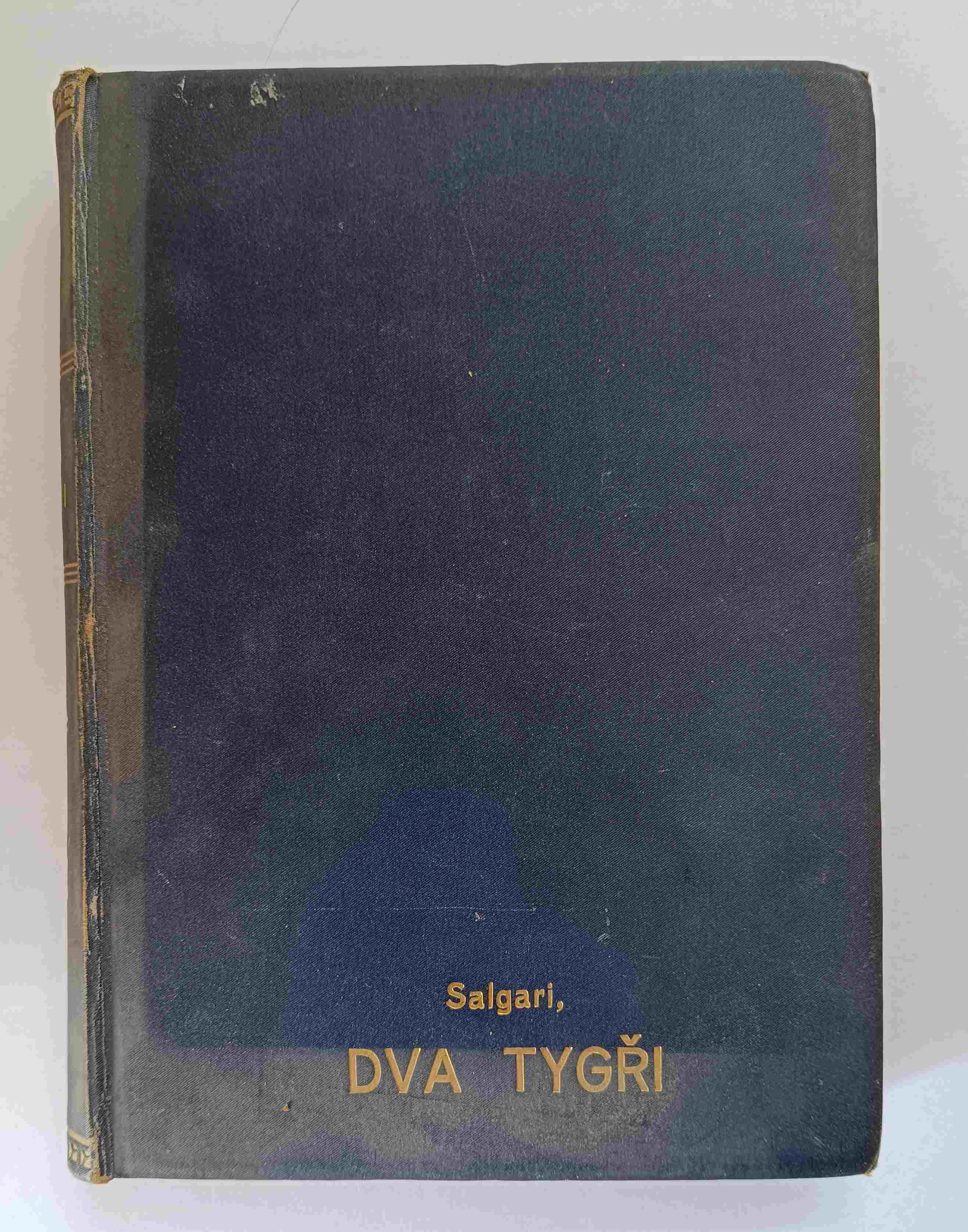 Dva tygři