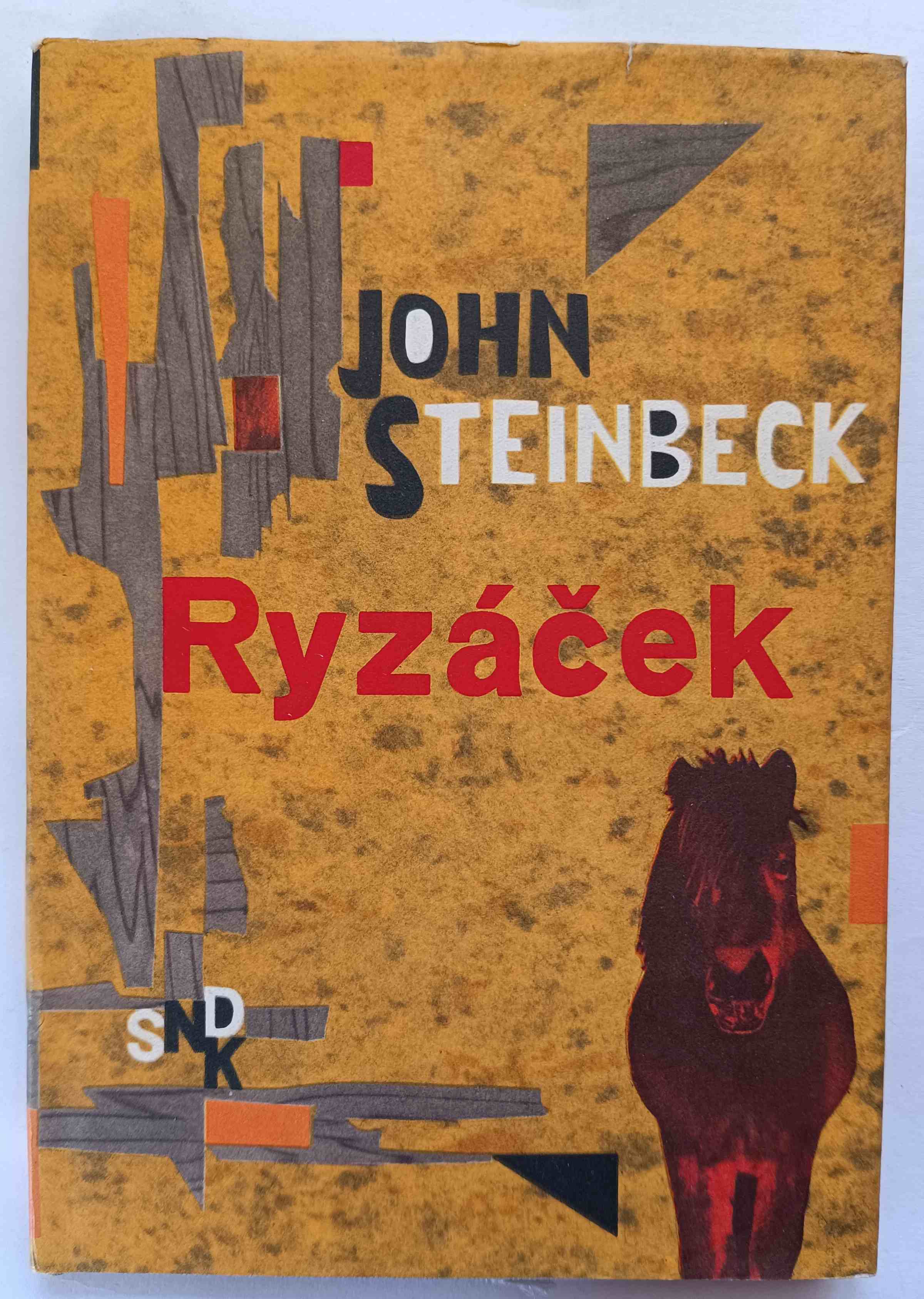 Ryzáček
