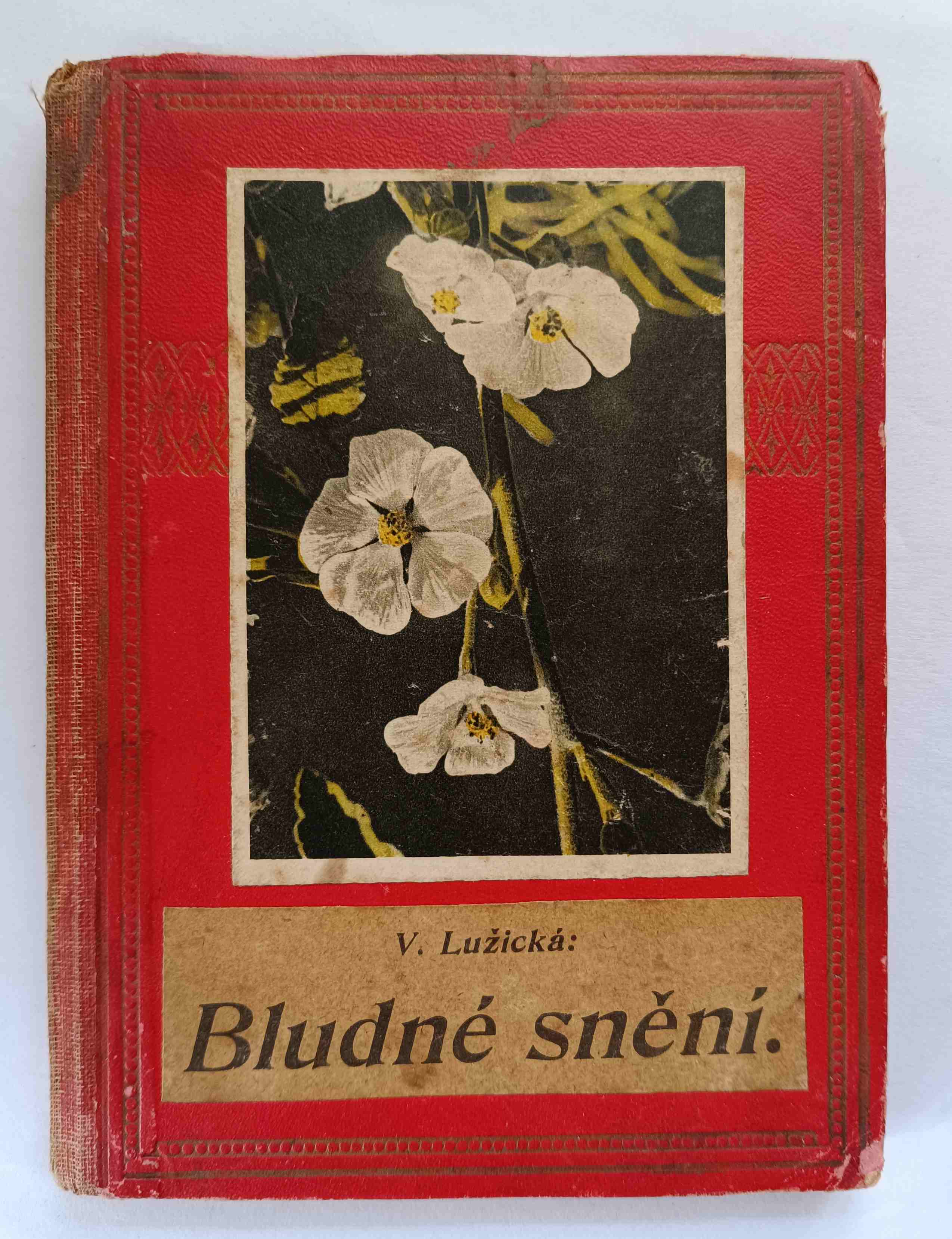 Bludné snění