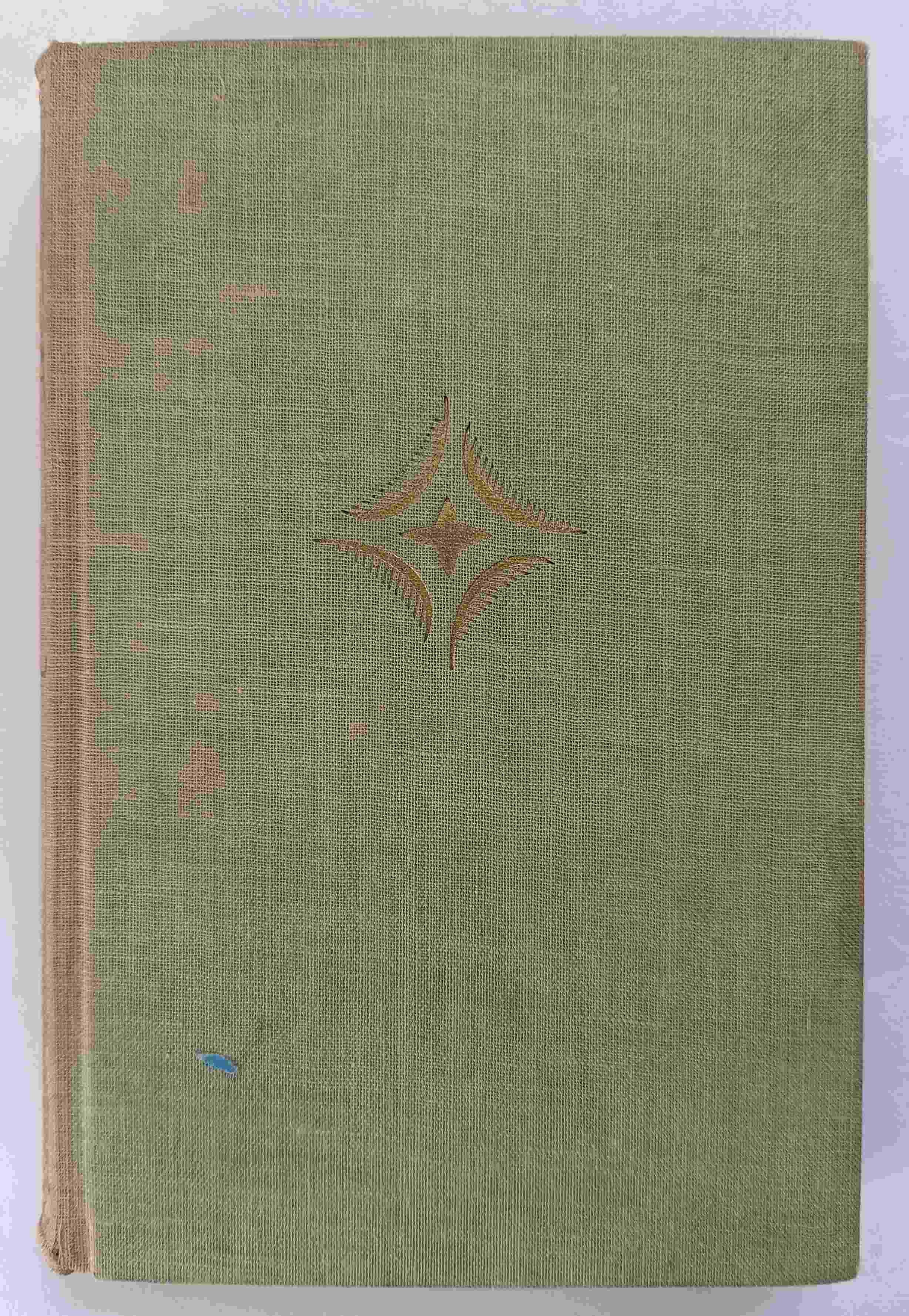 Rusalka mezi lidmi