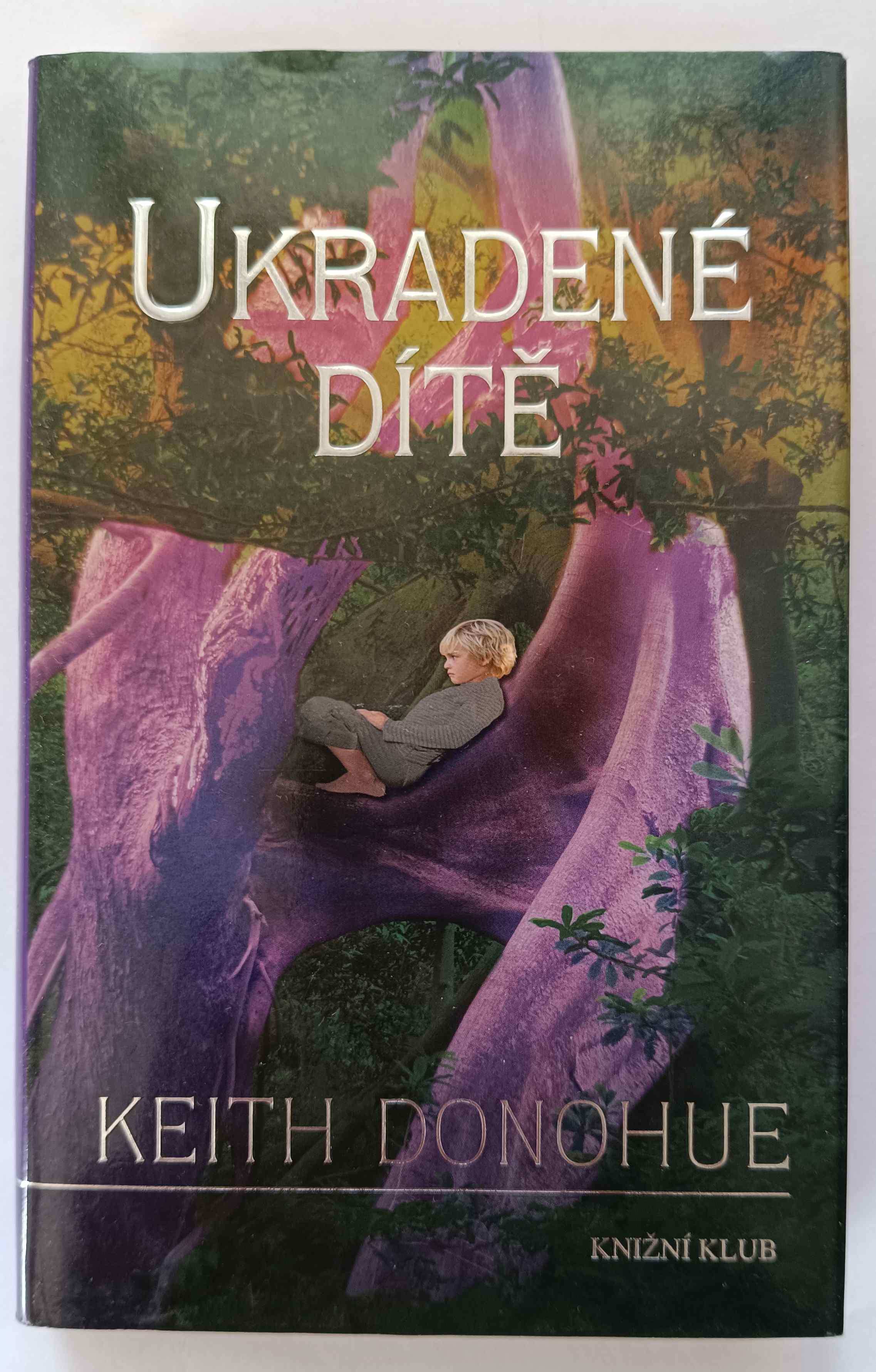 Ukradené dítě