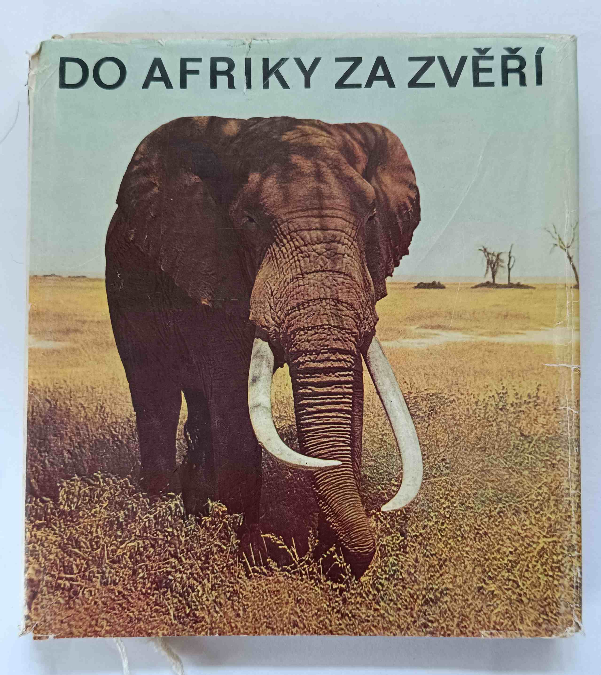 Do Afriky za zvěří