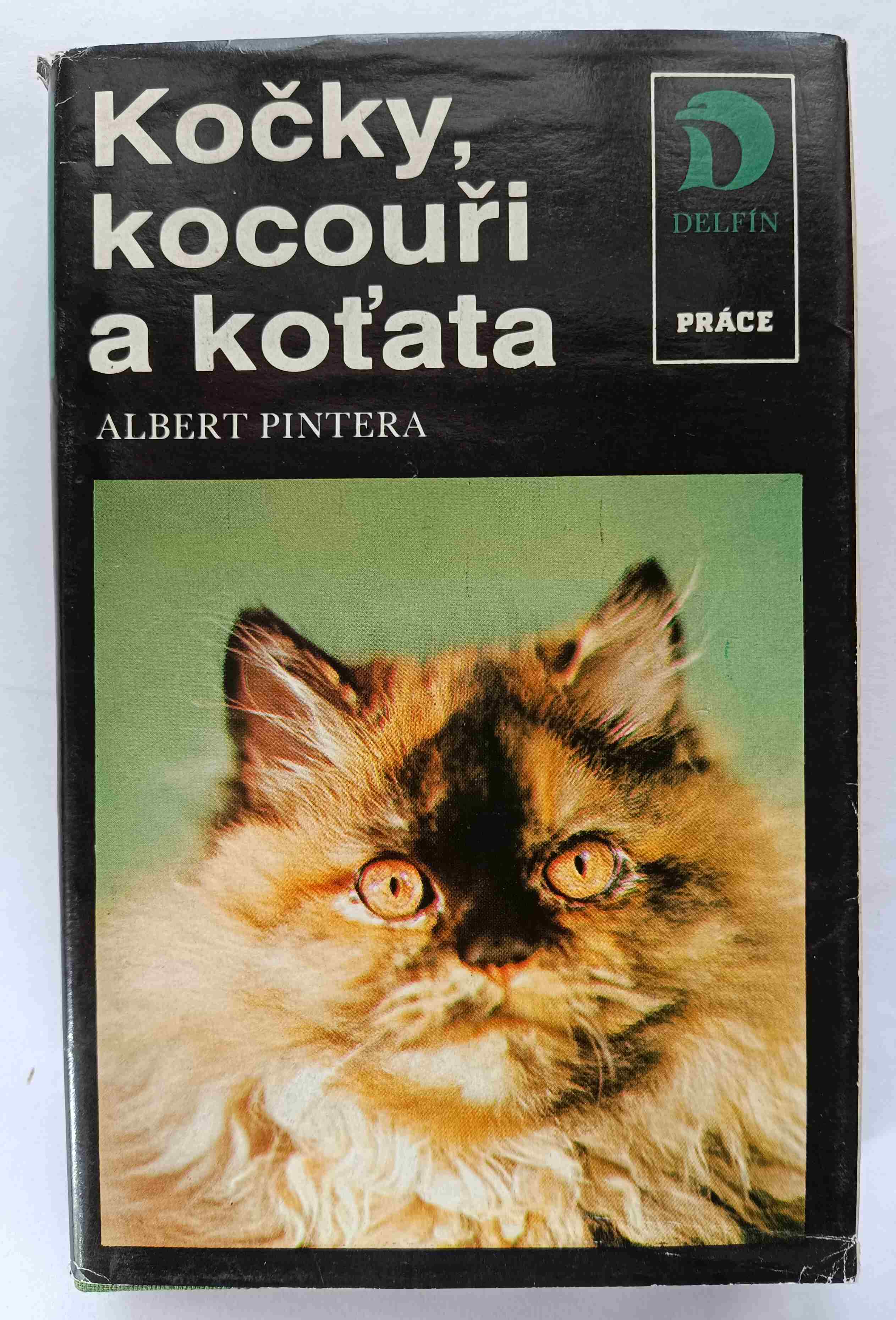 Kočky, kocouři a koťata
