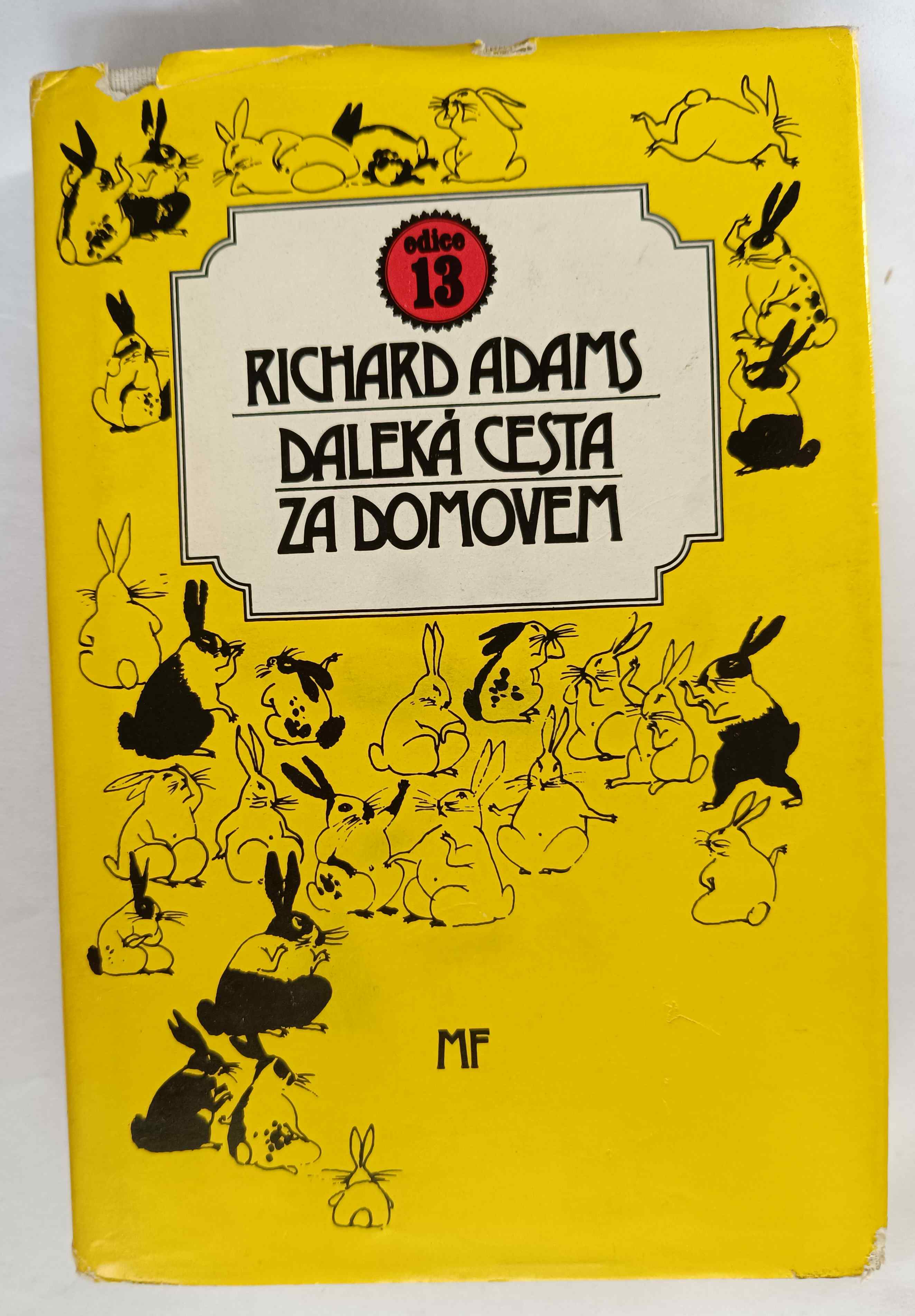 Daleká cesta za domovem