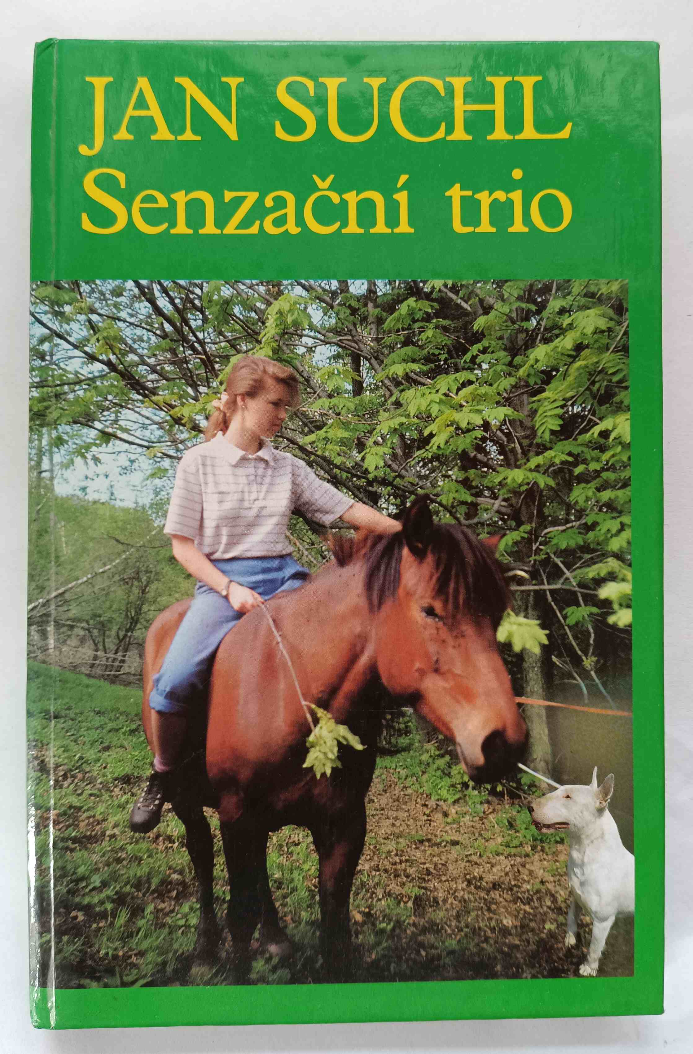 Senzační trio : dívčí román