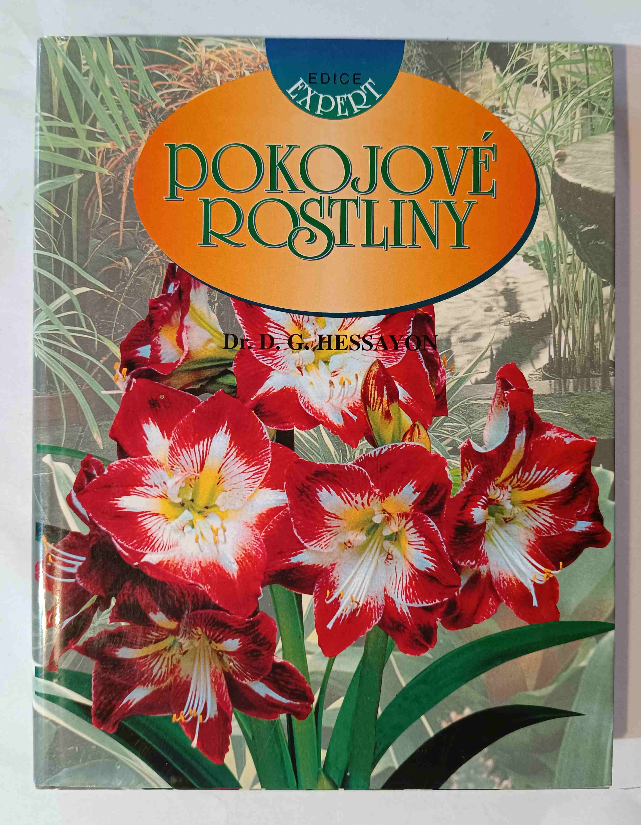 Pokojové rostliny