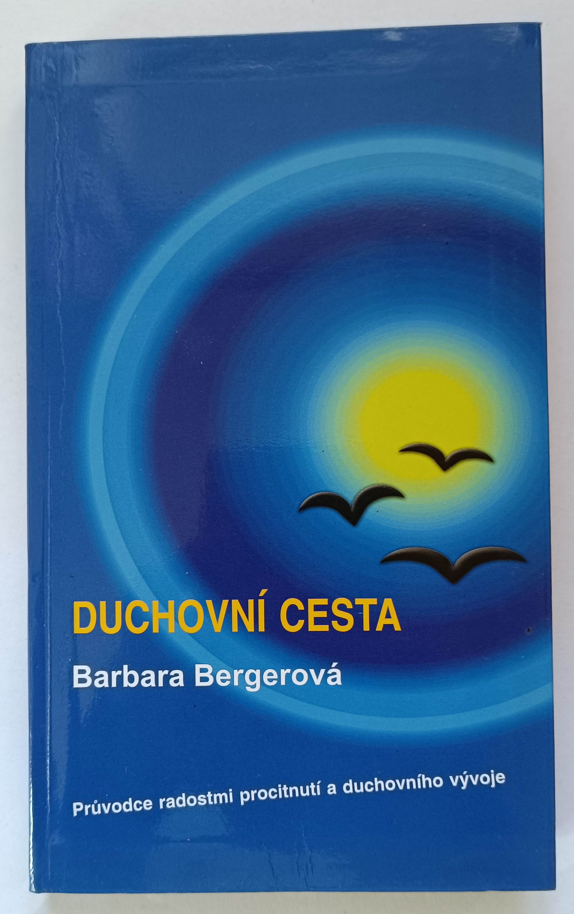 Duchovní cesta  