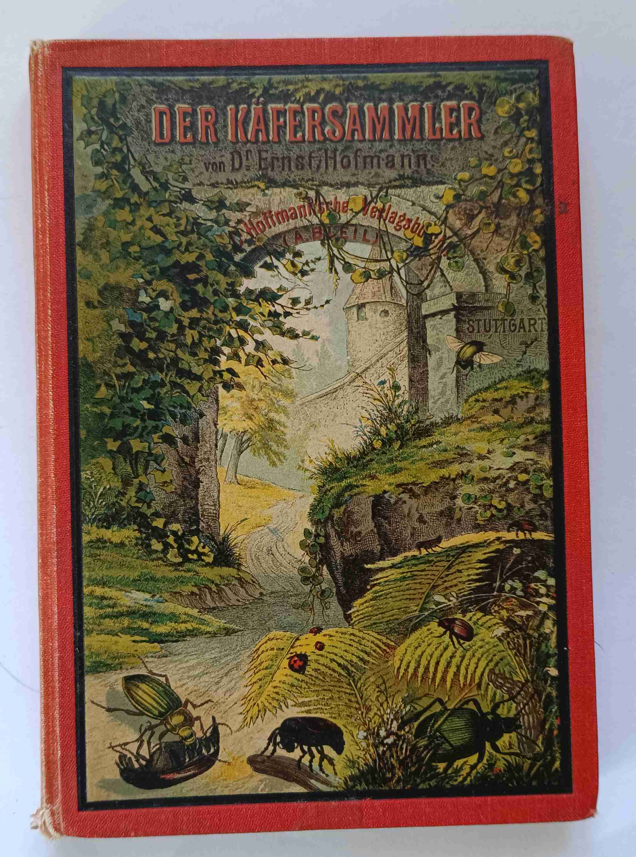 Der Käfersammler