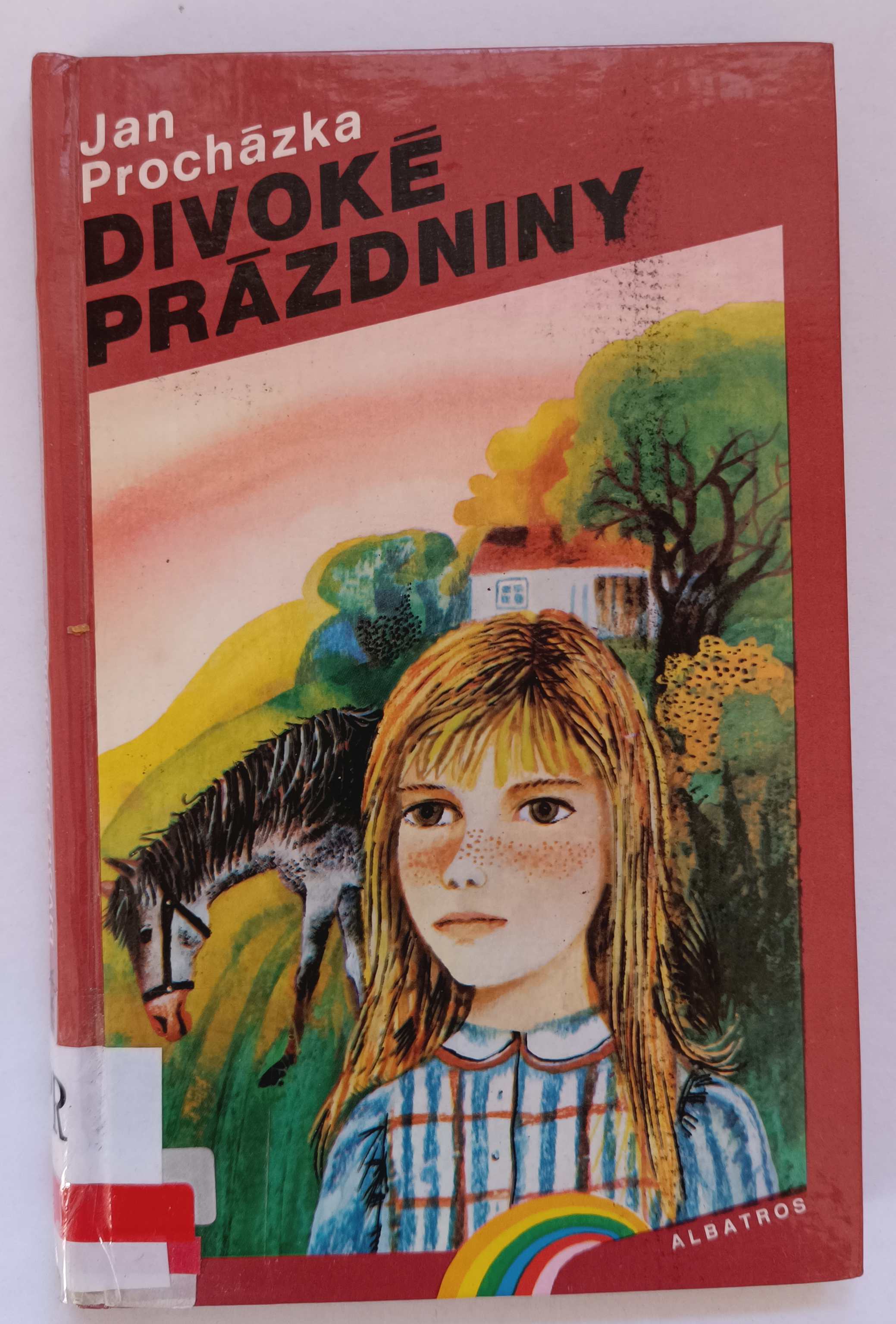 Divoké prázdniny
