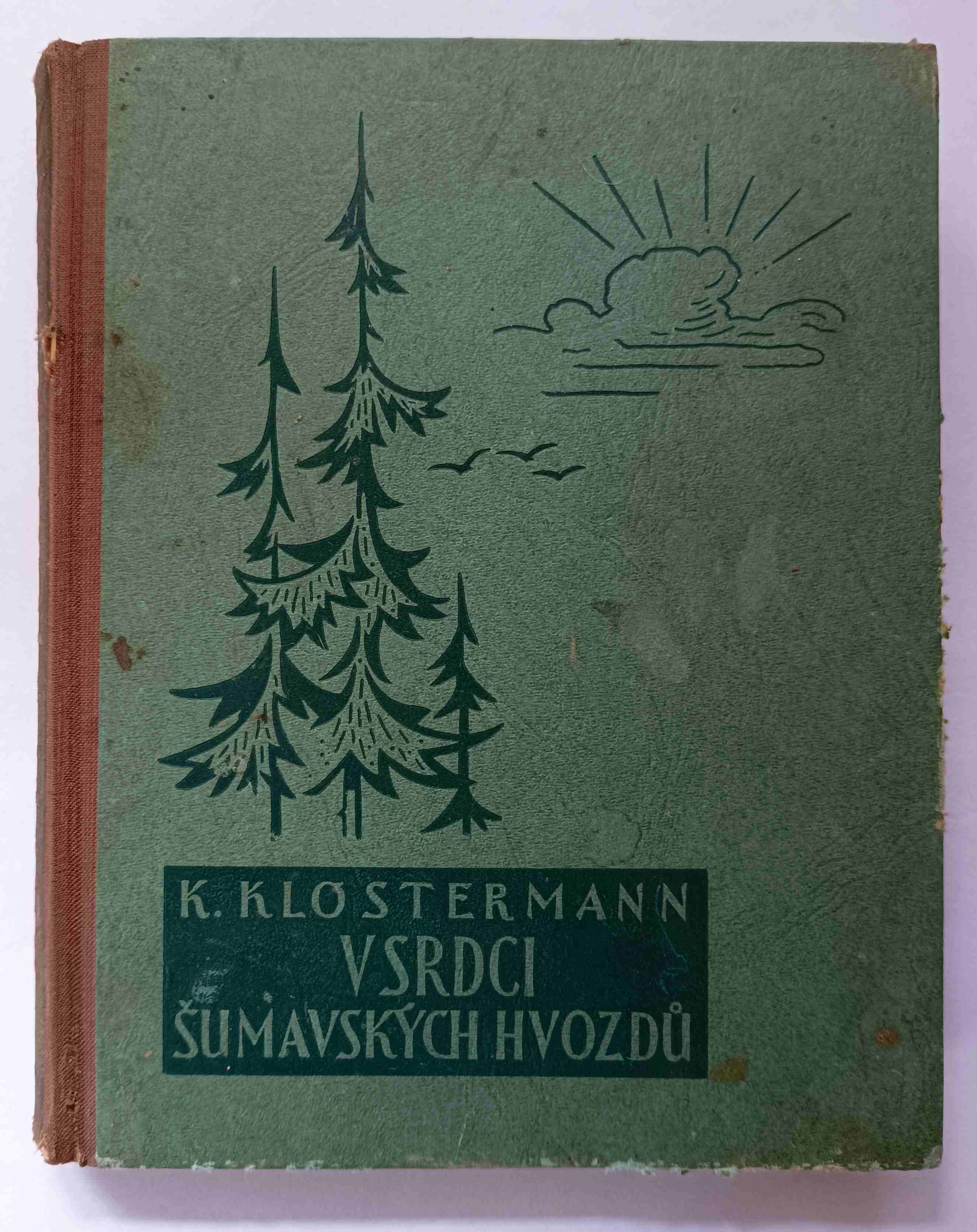 V srdci šumavských hvozdů