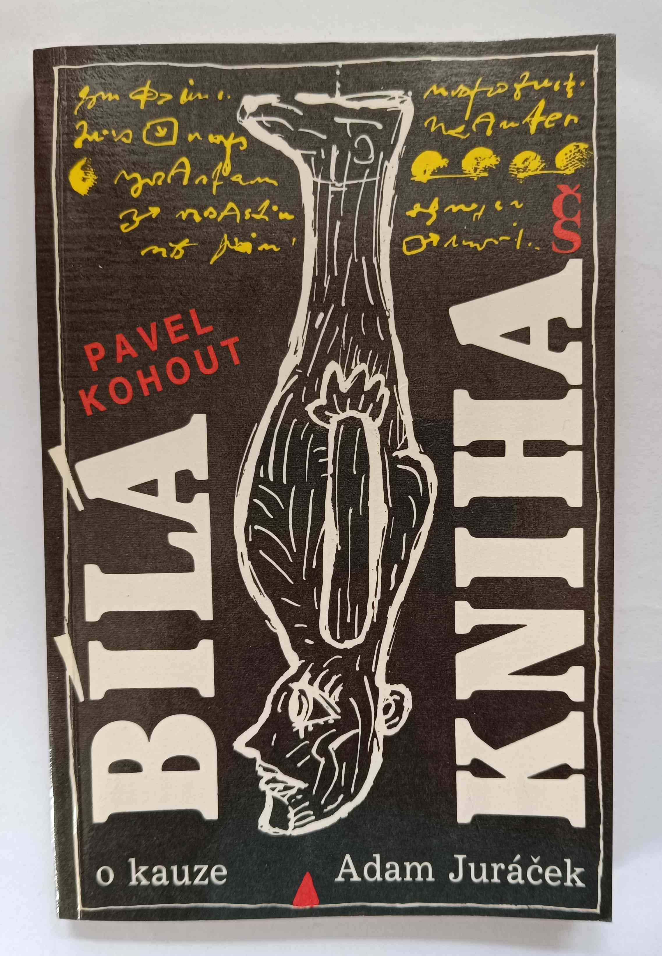 Bílá kniha o kauze Adam Juráček