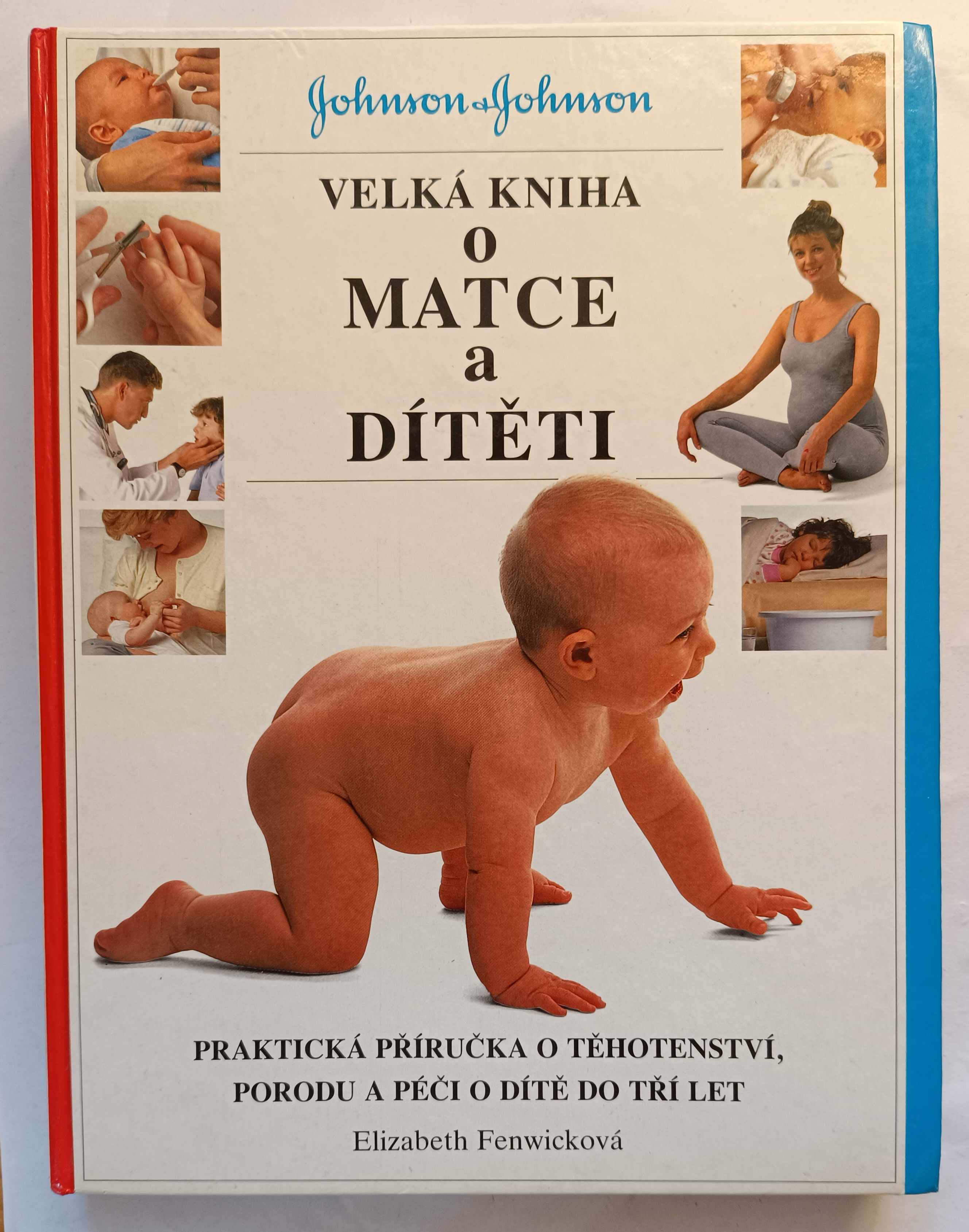 Velká kniha o matce a dítěti : praktická příručka o těhotenství, porodu a péči o dítě do tří let