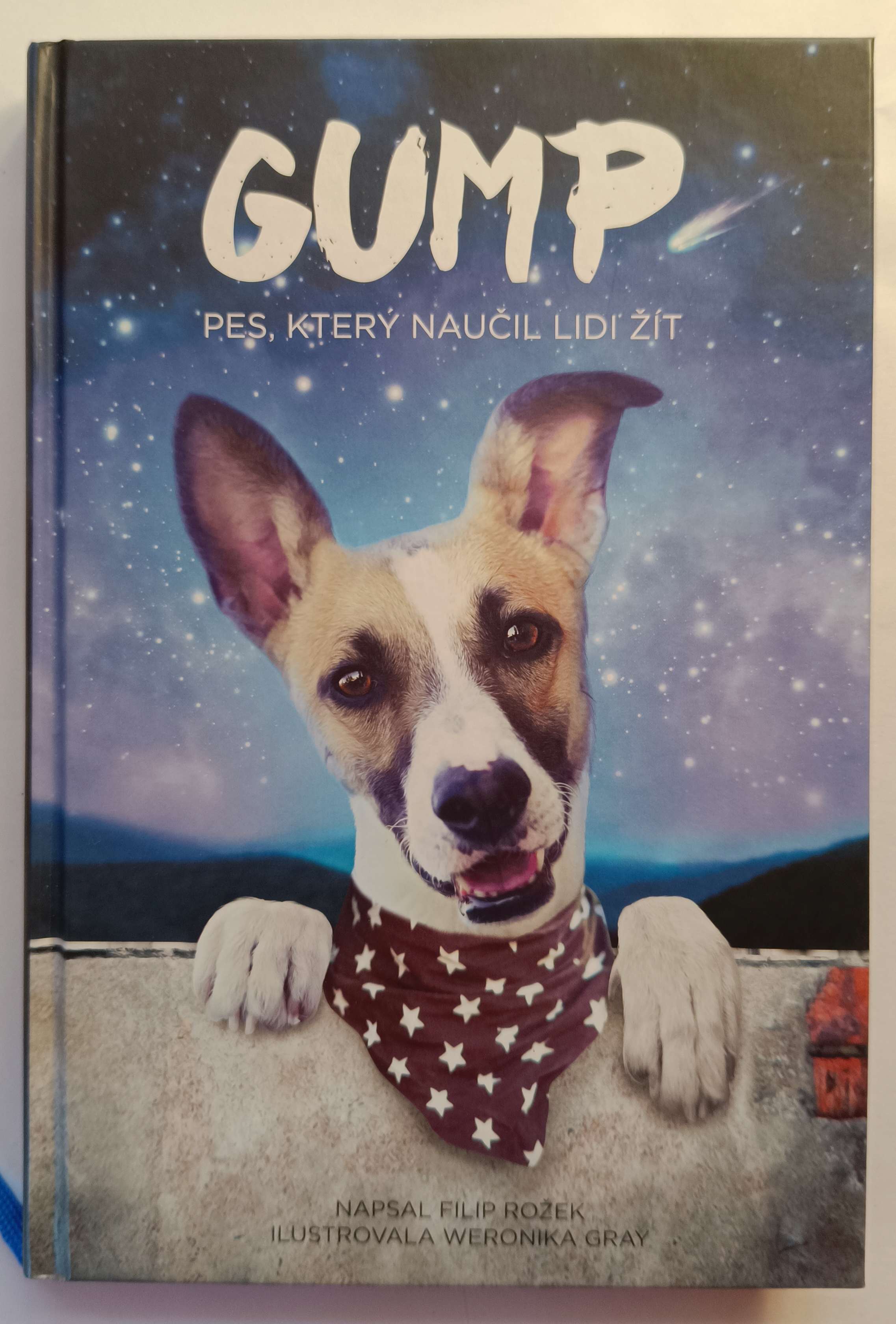 Gump – pes, který naučil lidi žít