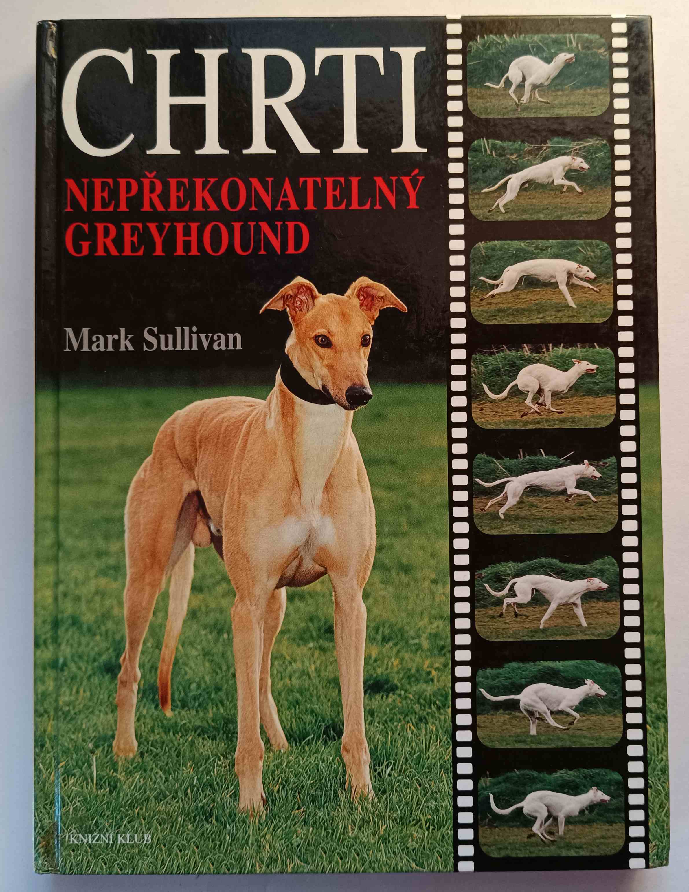 Chrti - Nepřekonatelný Greyhound