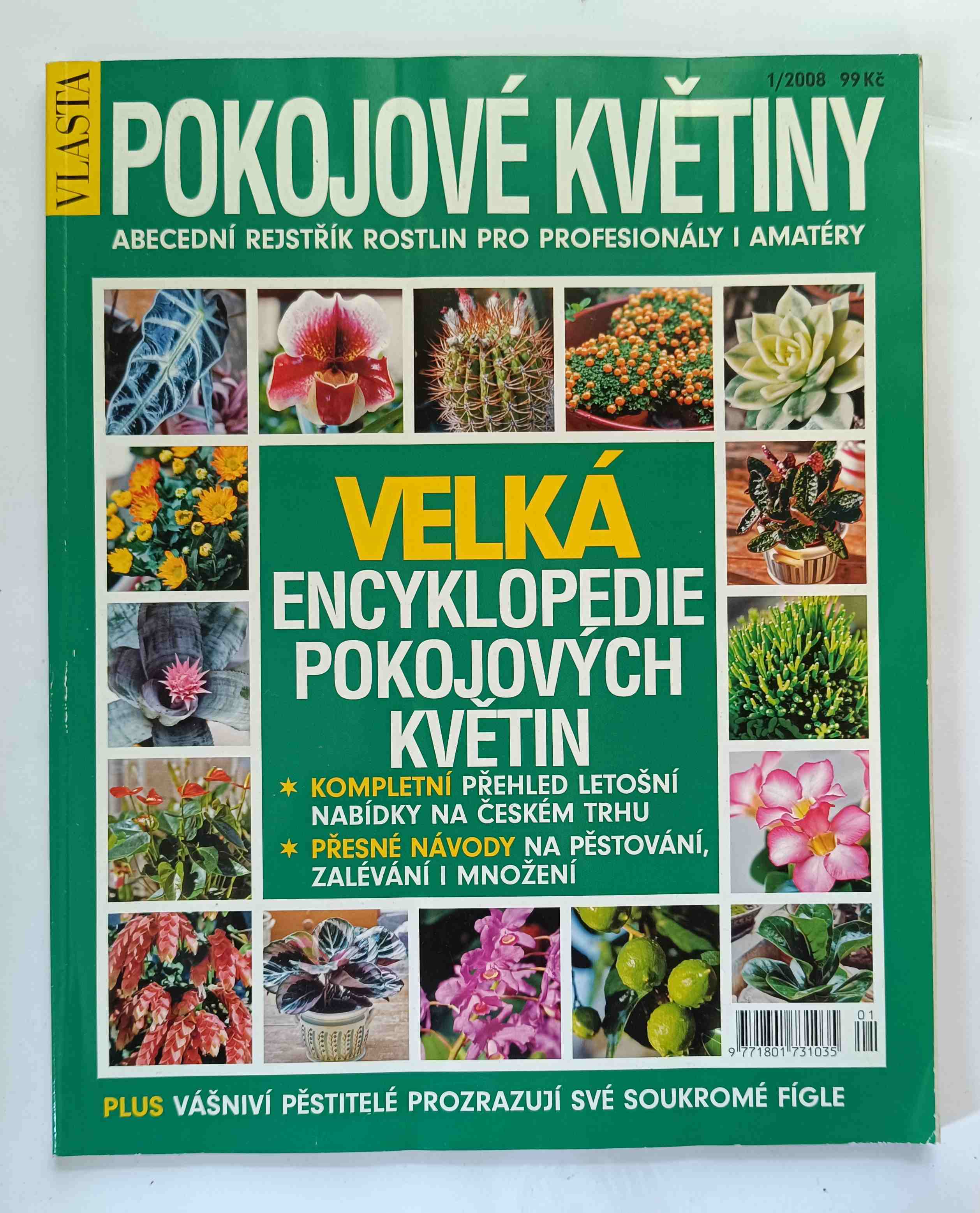 Pokojové květiny