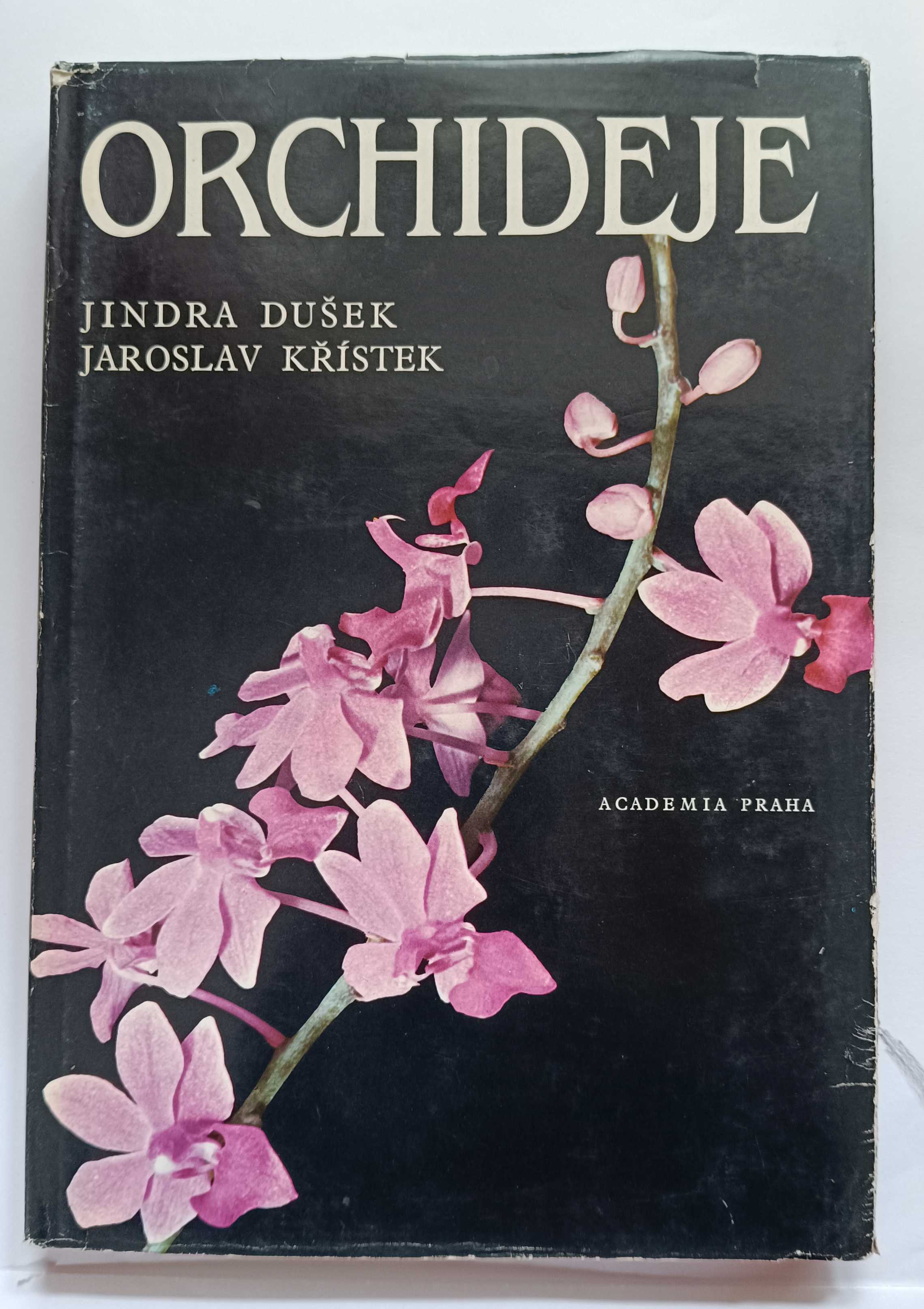 Orchideje