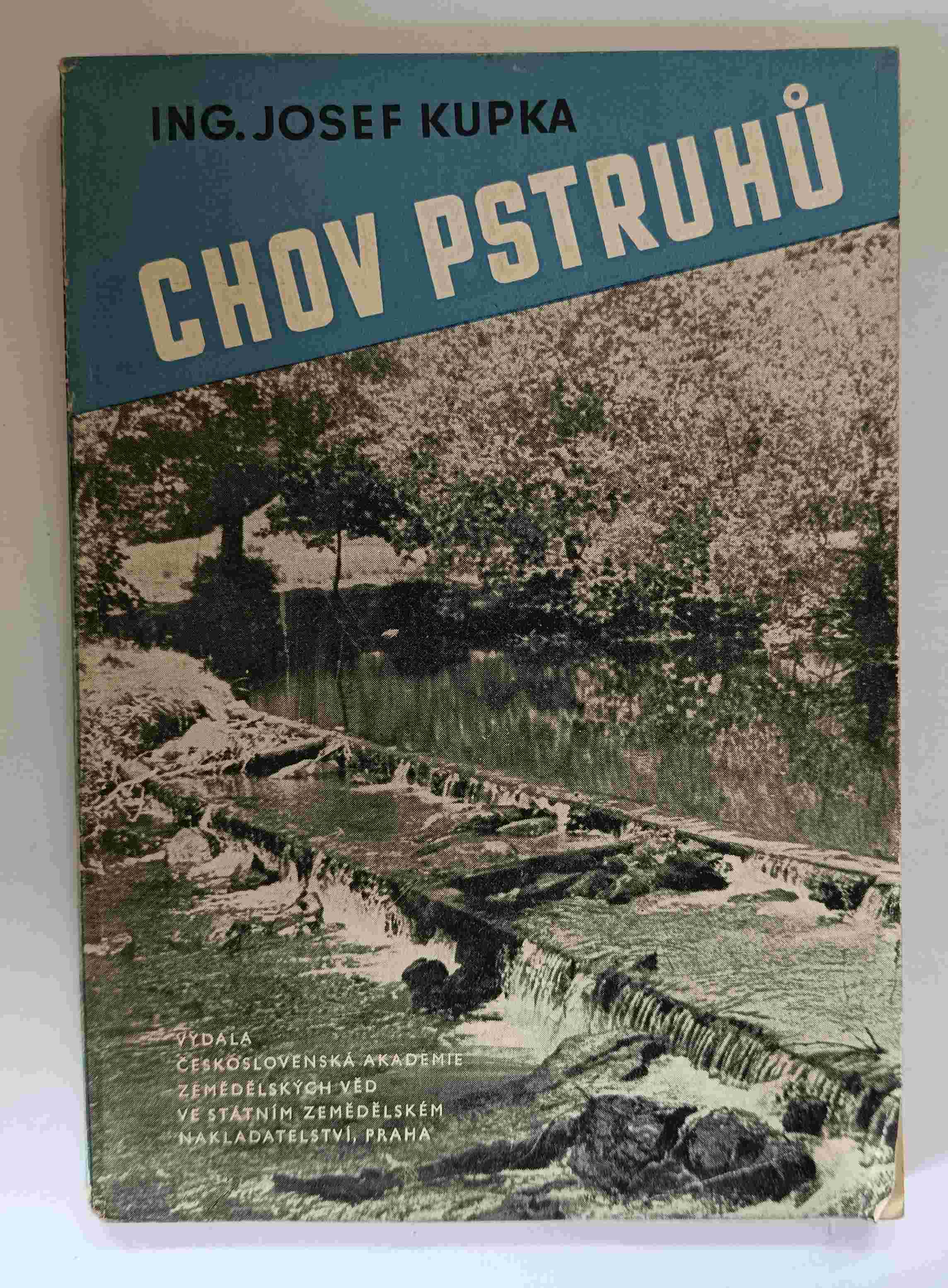 Chov pstruhů