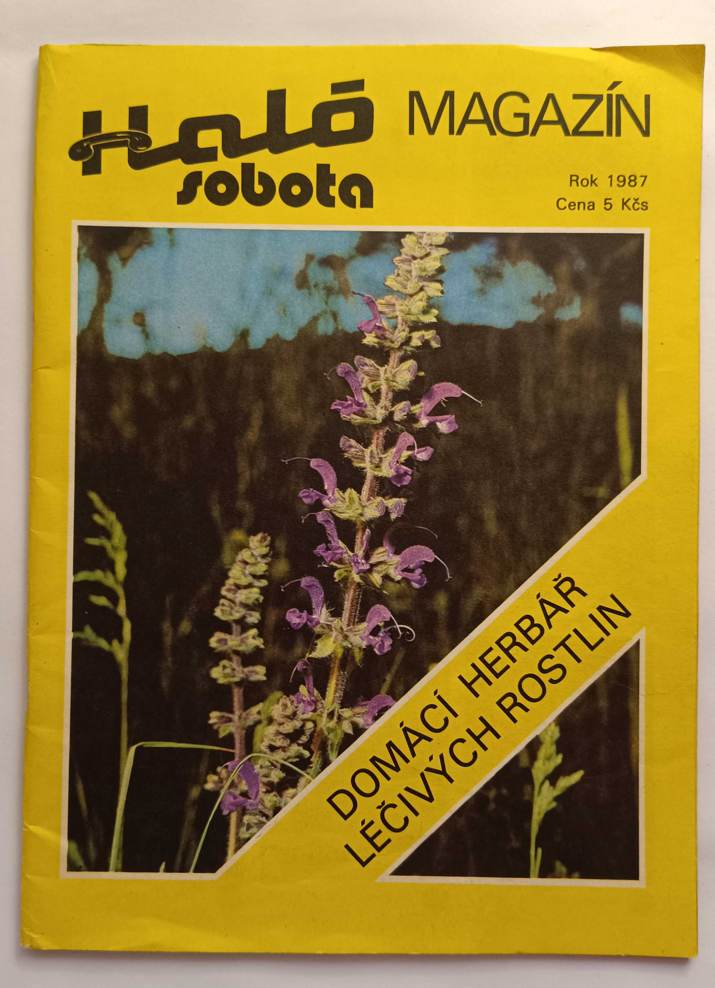 Domácí lékař léčivých rostlin